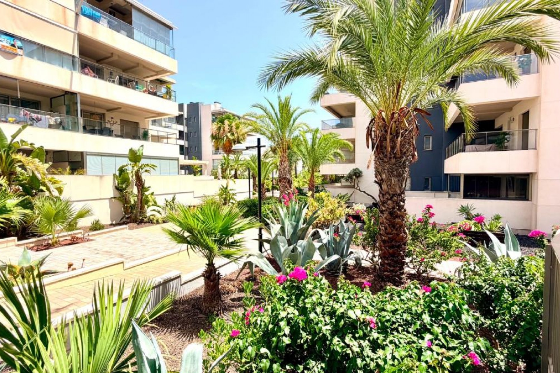 Revente - Appartement - Orihuela