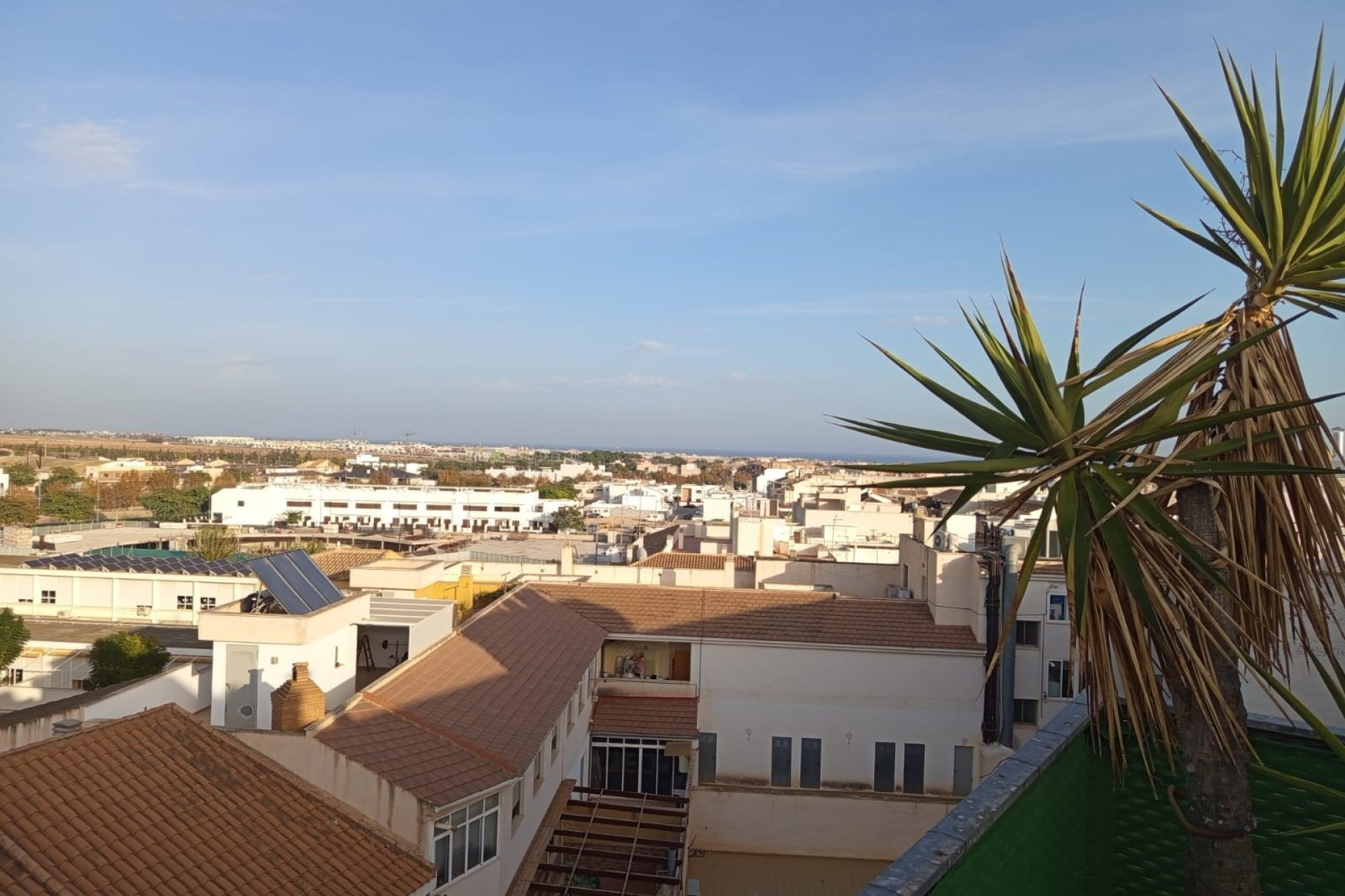 Revente - Appartement - Pilar de la Horadada