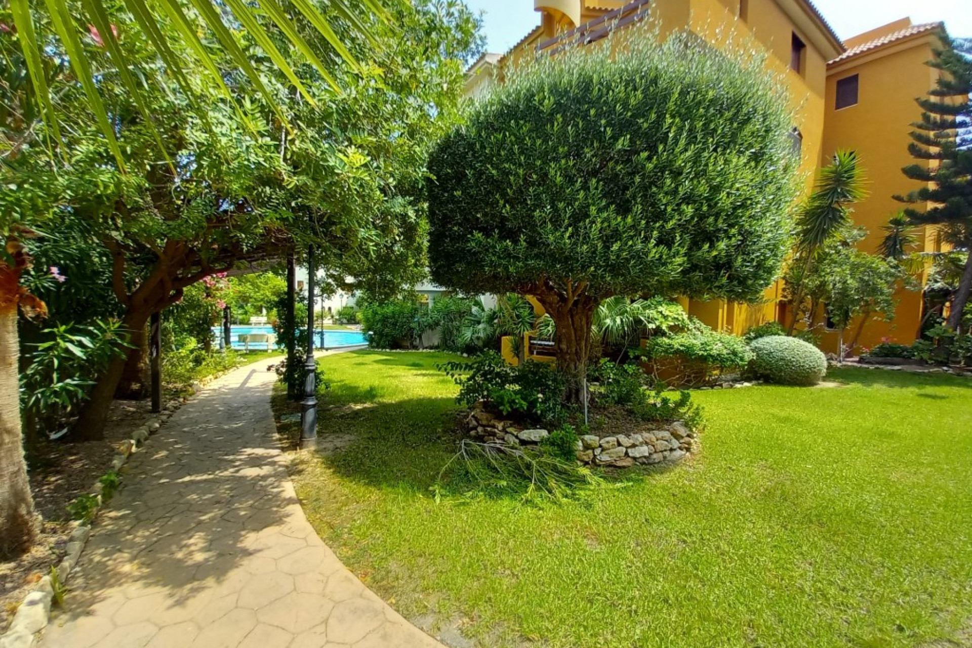 Revente - Appartement - Punta Prima