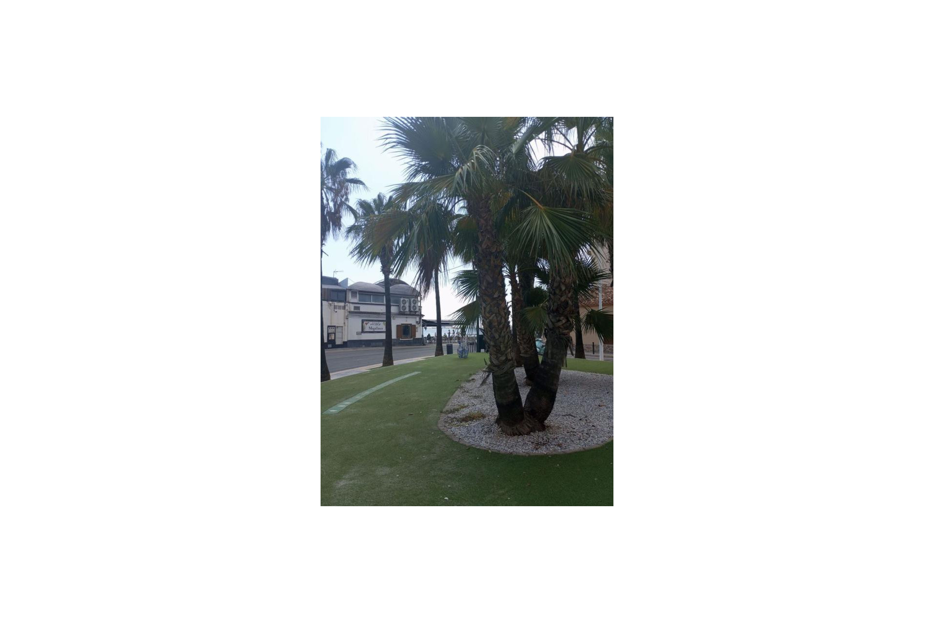 Revente - Appartement - San Javier