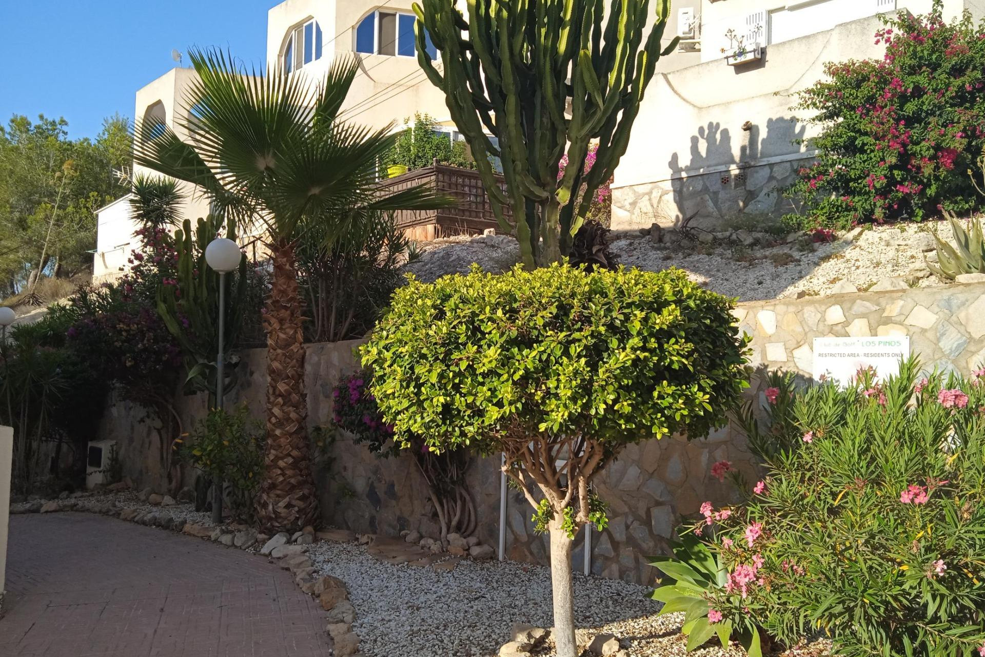 Revente - Appartement - San Miguel de Salinas - Bellavista