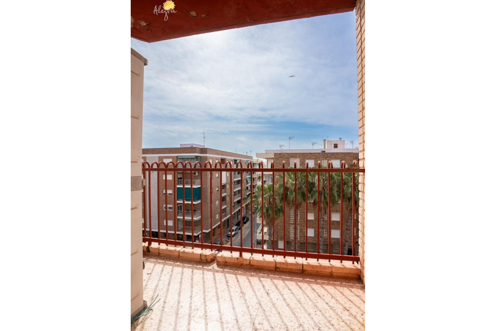 Revente - Appartement - Torrevieja - Acequion