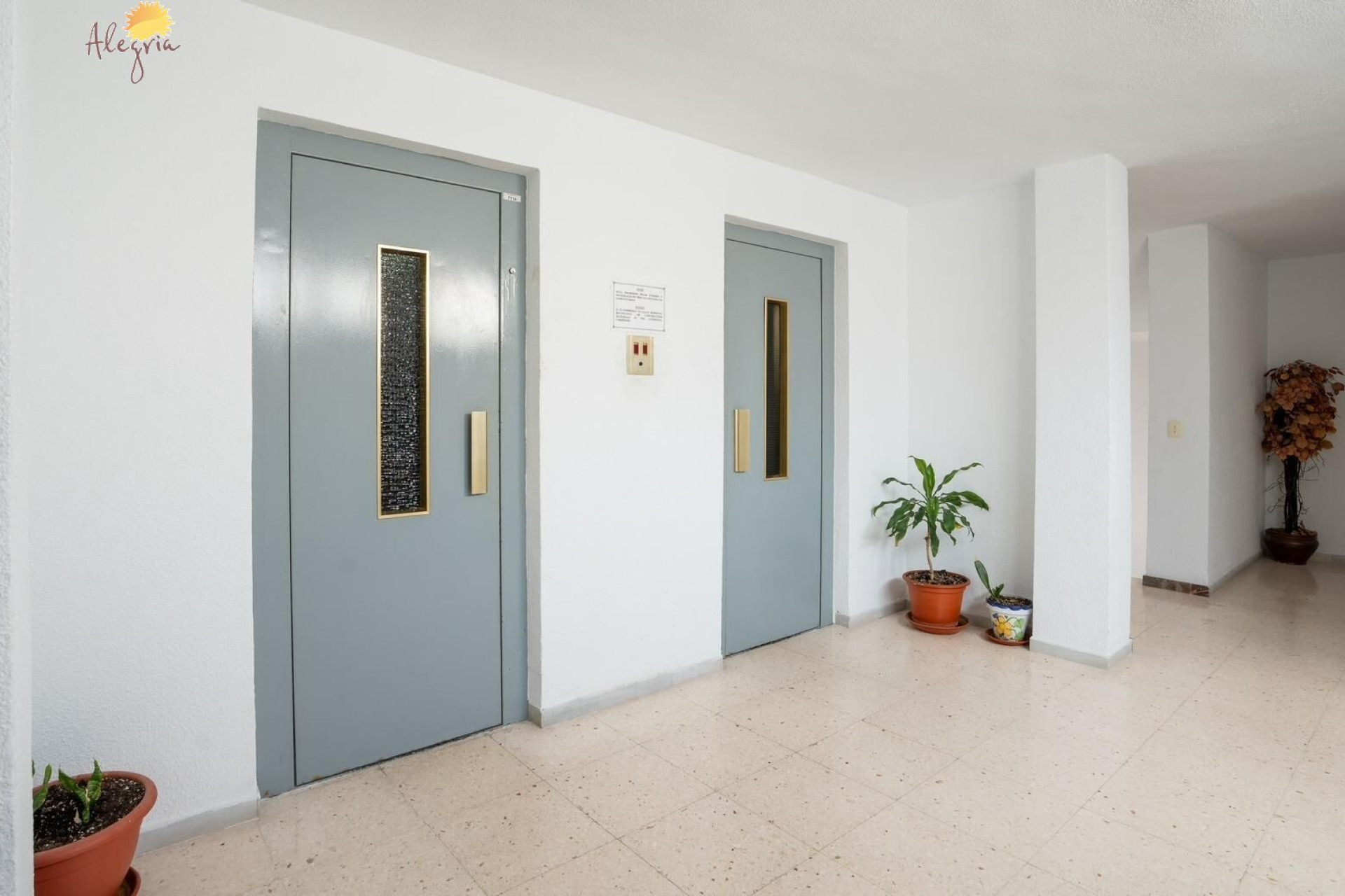 Revente - Appartement - Torrevieja - Acequion