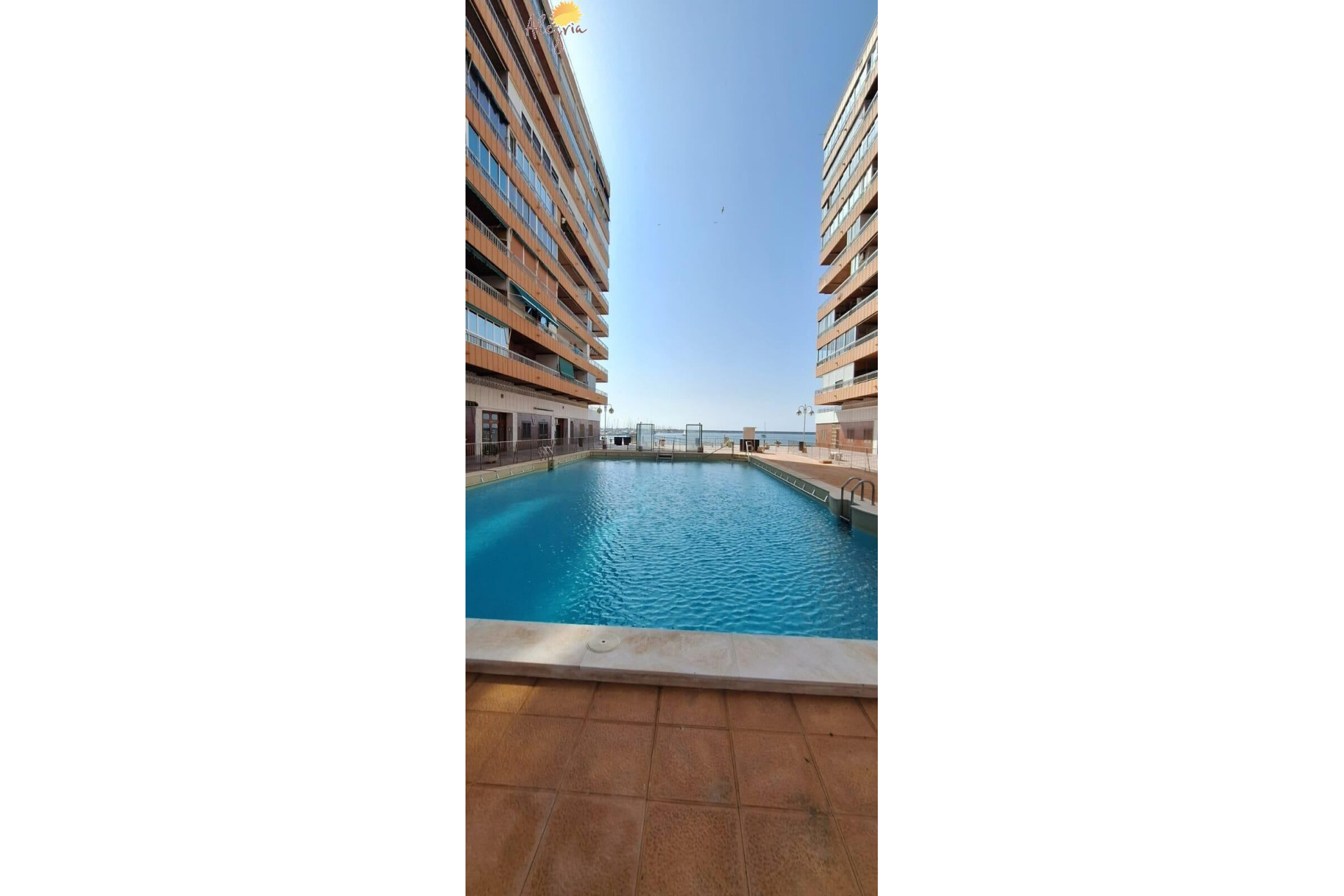 Revente - Appartement - Torrevieja - Acequion
