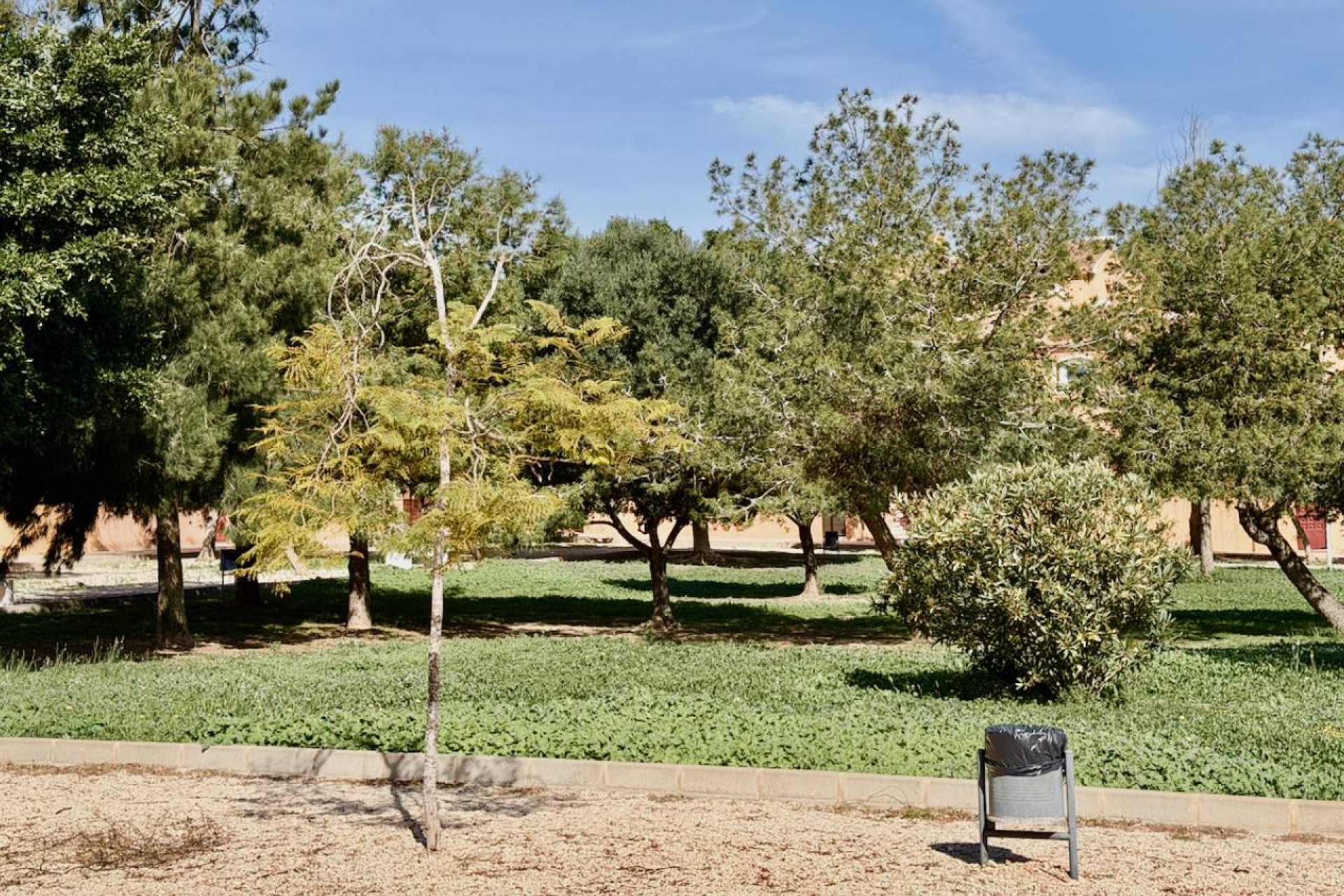 Revente - Appartement - Torrevieja - Aguas Nuevas