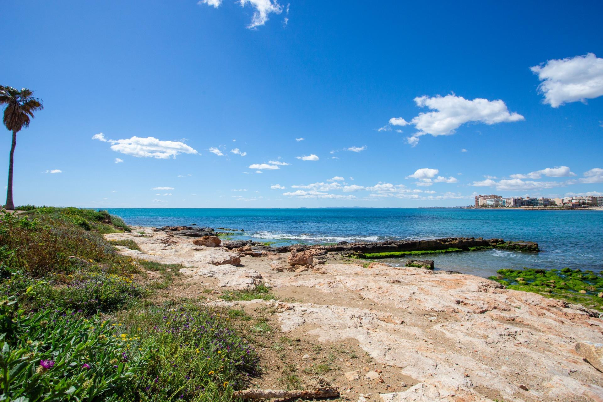 Revente - Appartement - Torrevieja - Centro - Muelle Pesquero