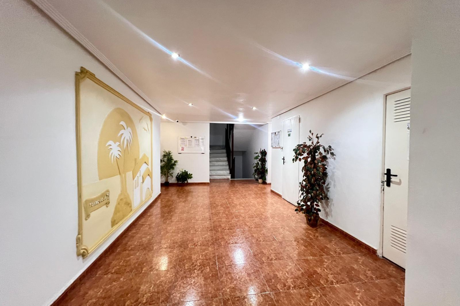 Revente - Appartement - Torrevieja - Centro