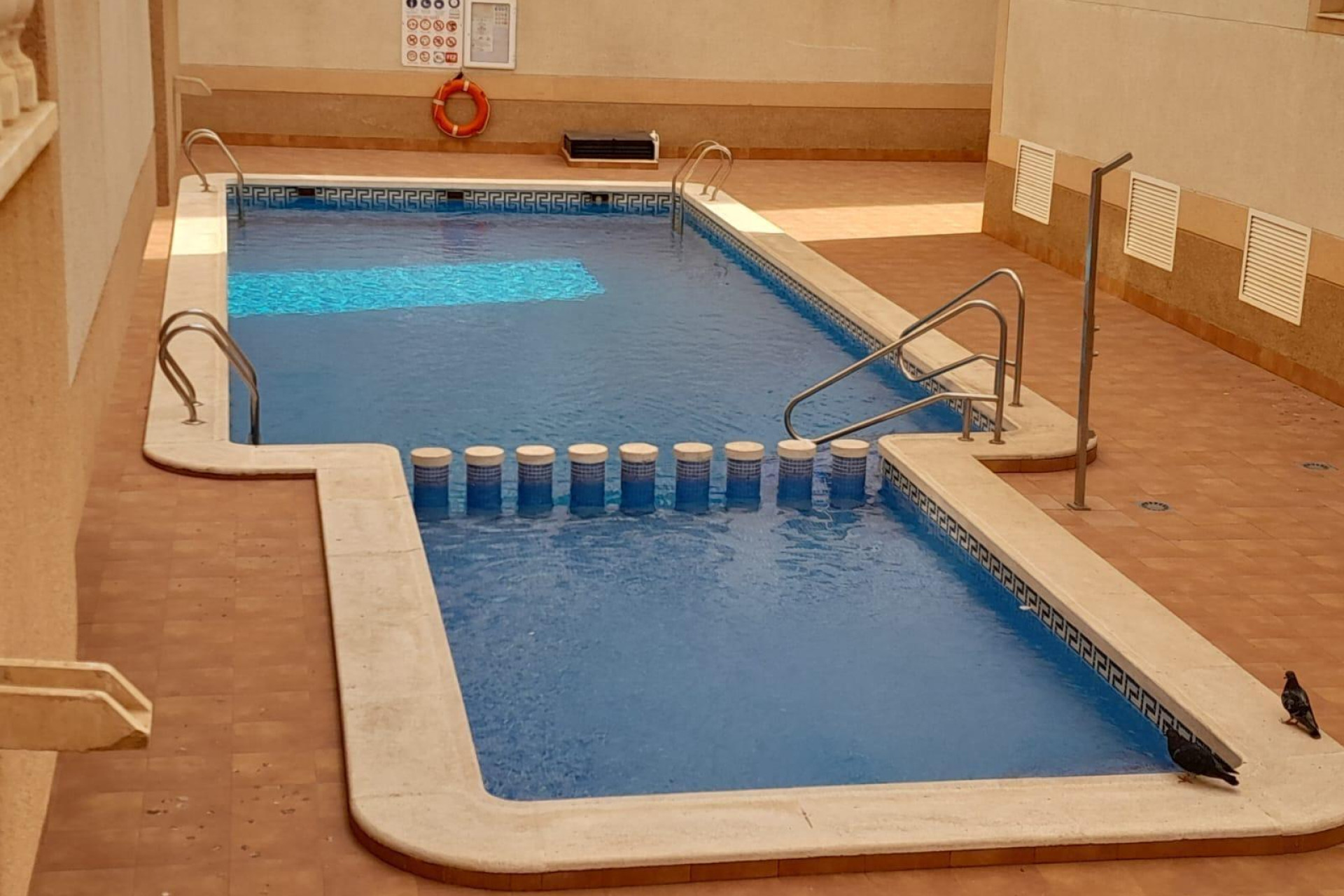 Revente - Appartement - Torrevieja - El molino