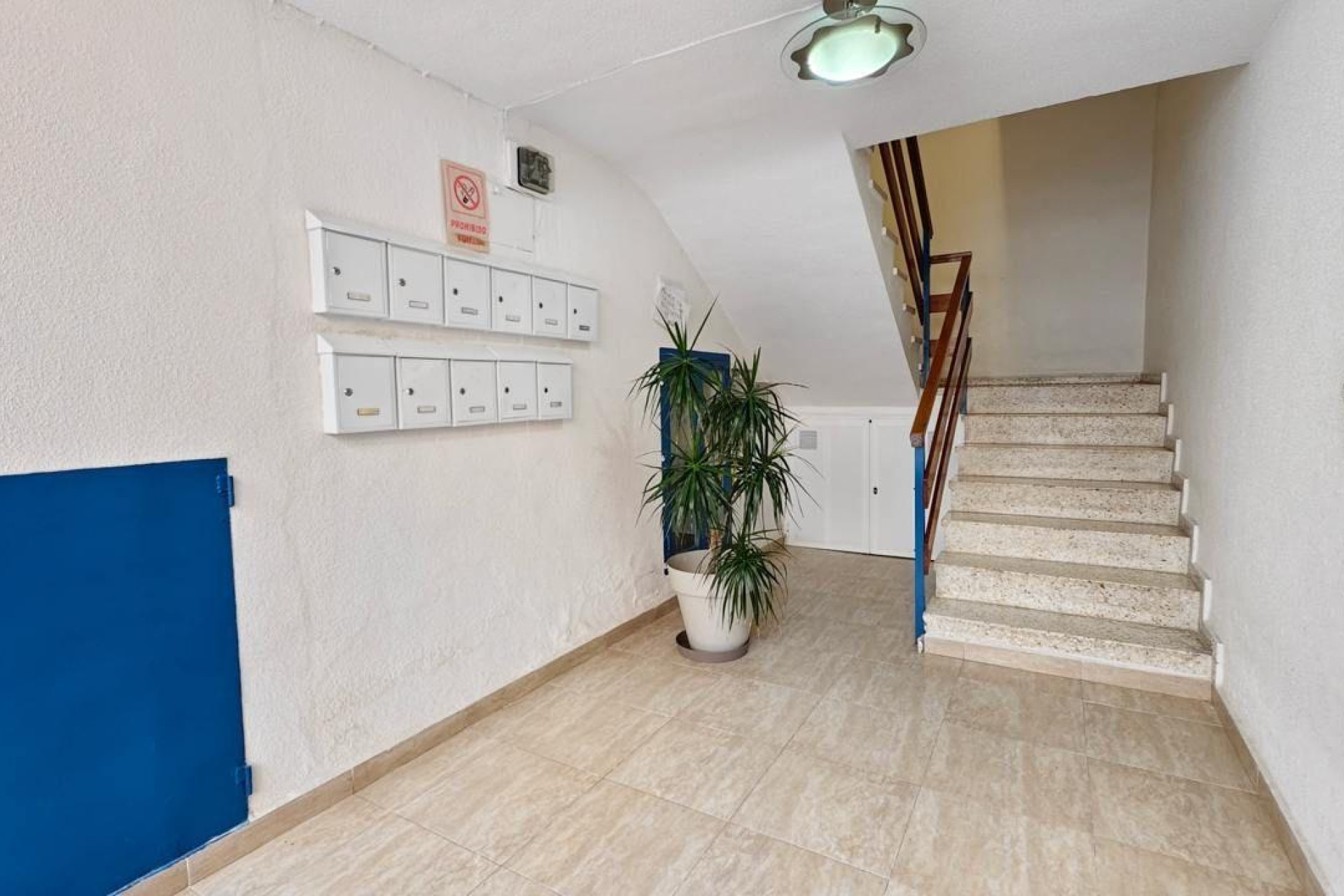 Revente - Appartement - Torrevieja - Estacion de autobuses