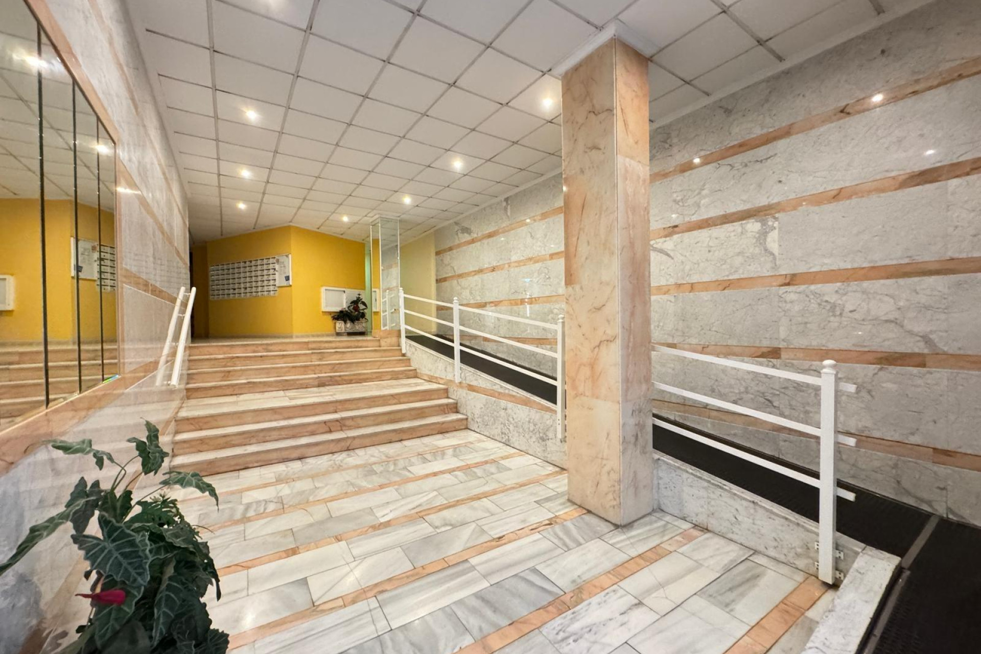 Revente - Appartement - Torrevieja - Estacion de autobuses