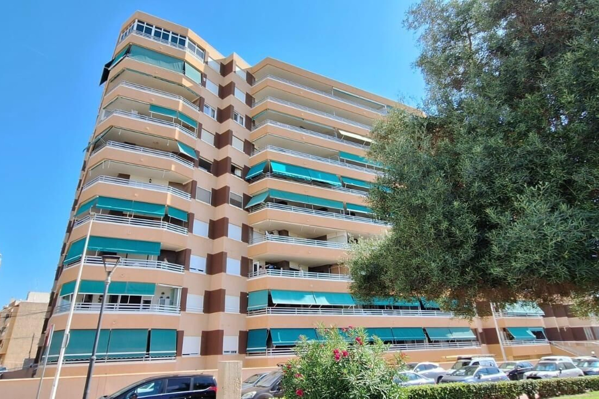 Revente - Appartement - Torrevieja - La Mata