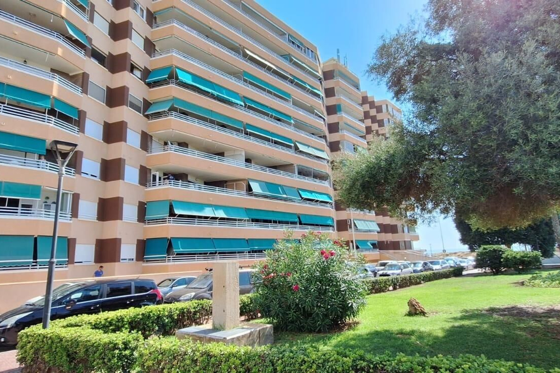 Revente - Appartement - Torrevieja - La Mata