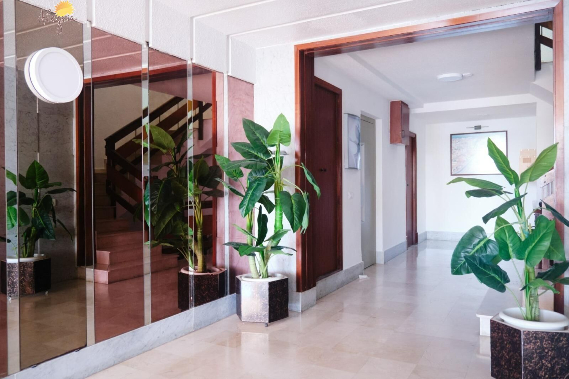 Revente - Appartement - Torrevieja - Paseo maritimo