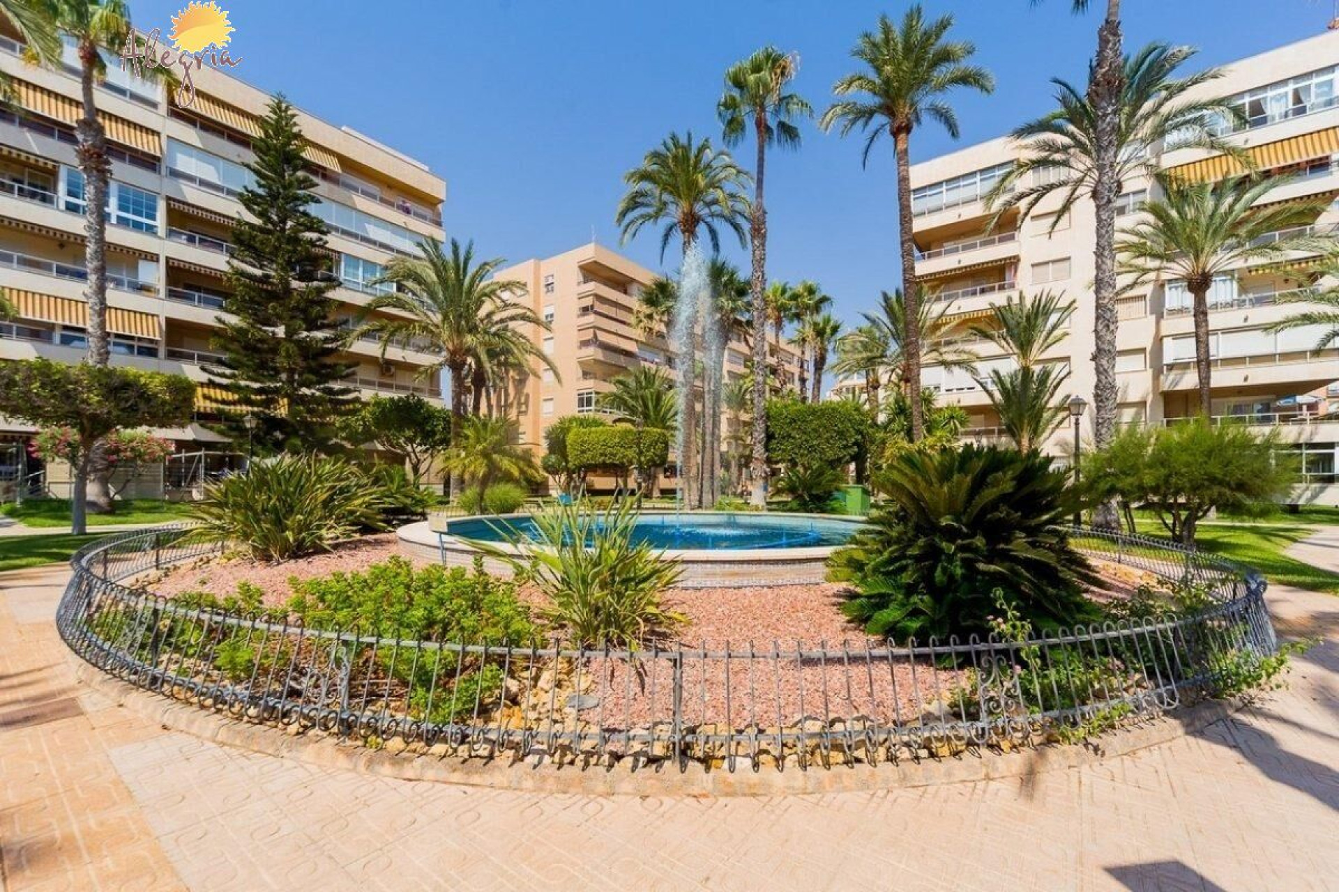Revente - Appartement - Torrevieja - Playa de los Locos