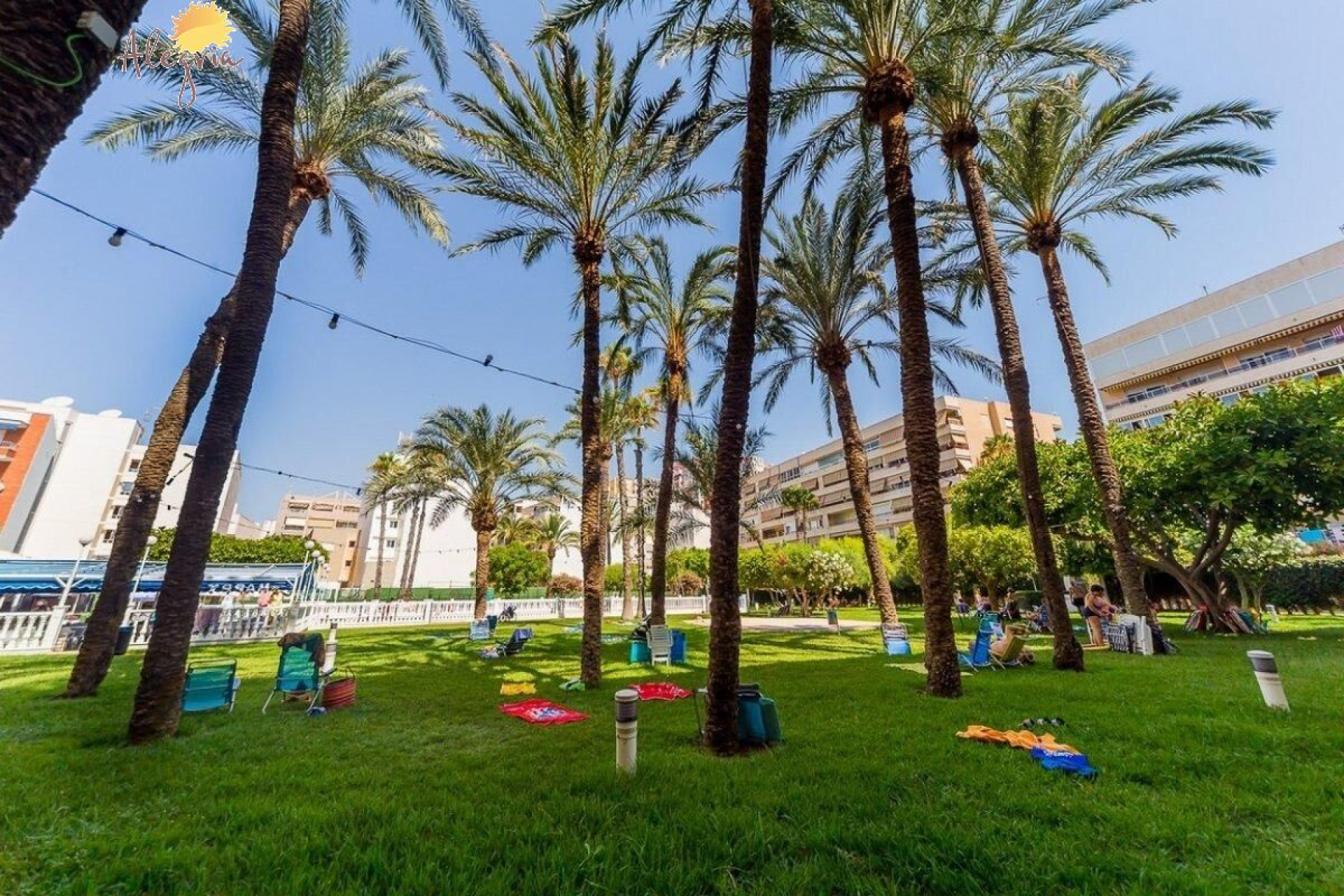 Revente - Appartement - Torrevieja - Playa de los Locos