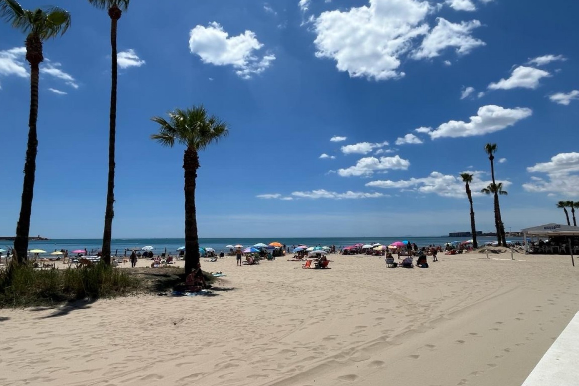 Revente - Appartement - Torrevieja - Playa Los Naufragos