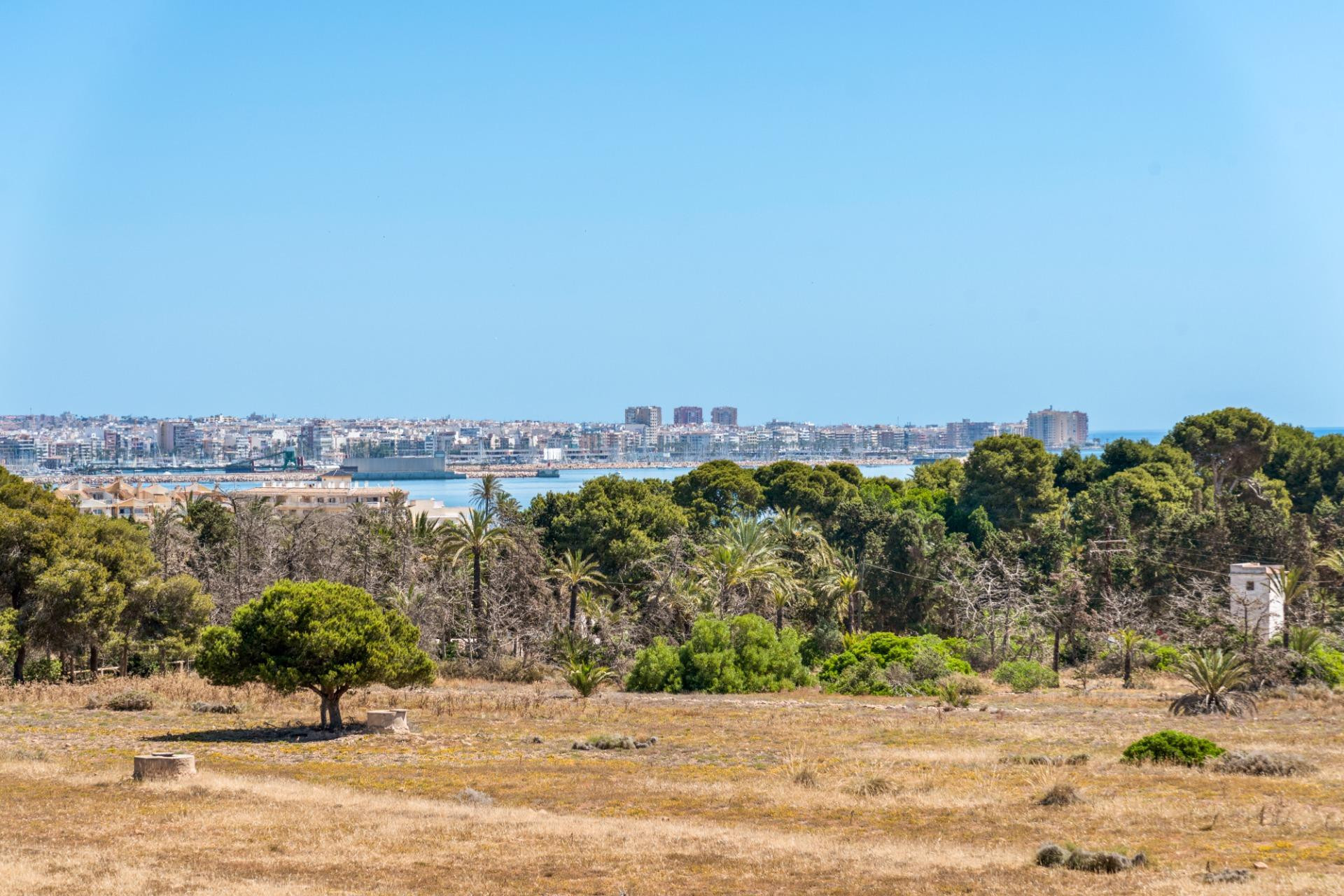 Revente - Appartement - Torrevieja - Punta prima