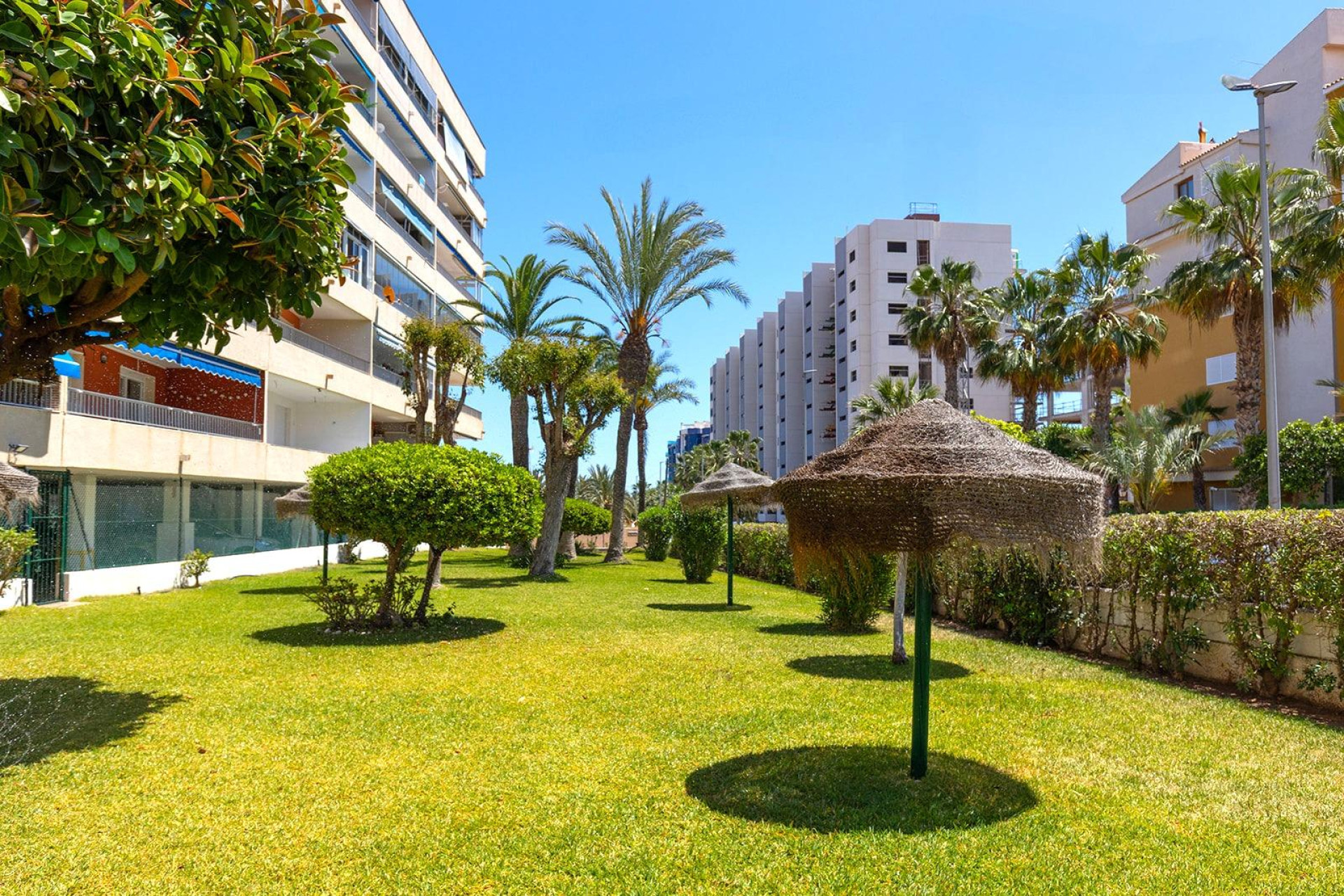Revente - Appartement - Torrevieja - Punta prima