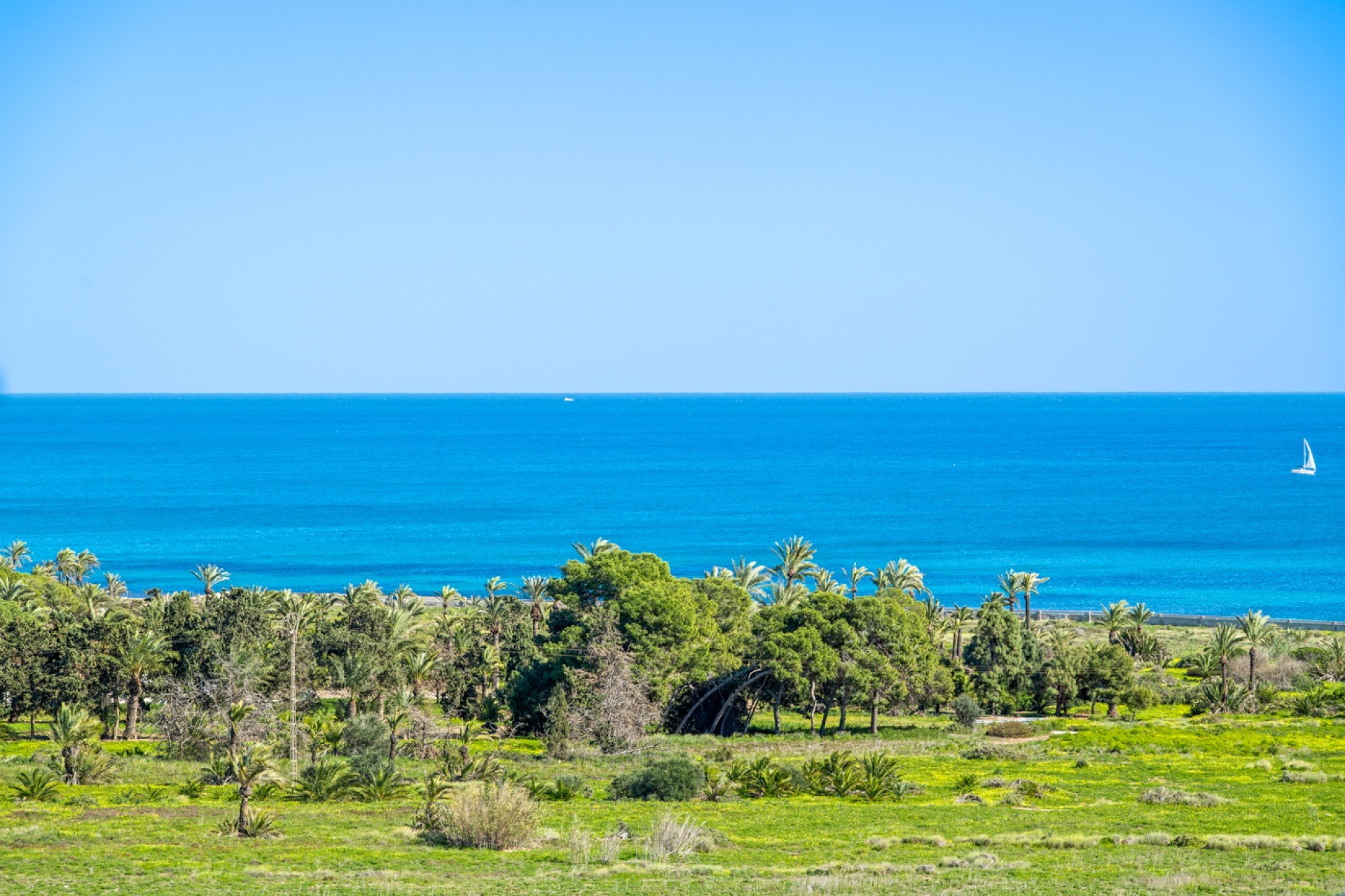 Revente - Appartement - Torrevieja - Rocio del Mar