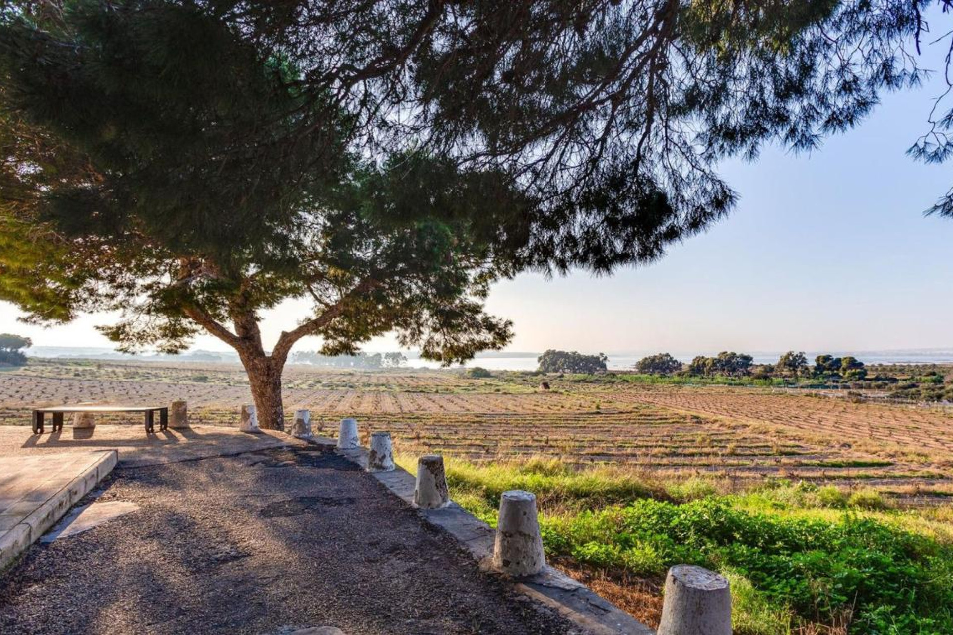 Revente - Appartement - Torrevieja - torrevieja
