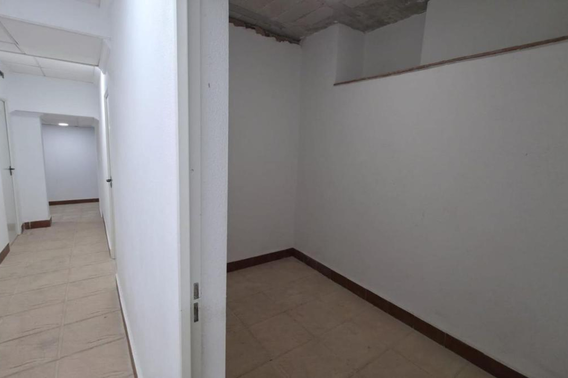 Revente - Appartement - Torrevieja - torrevieja