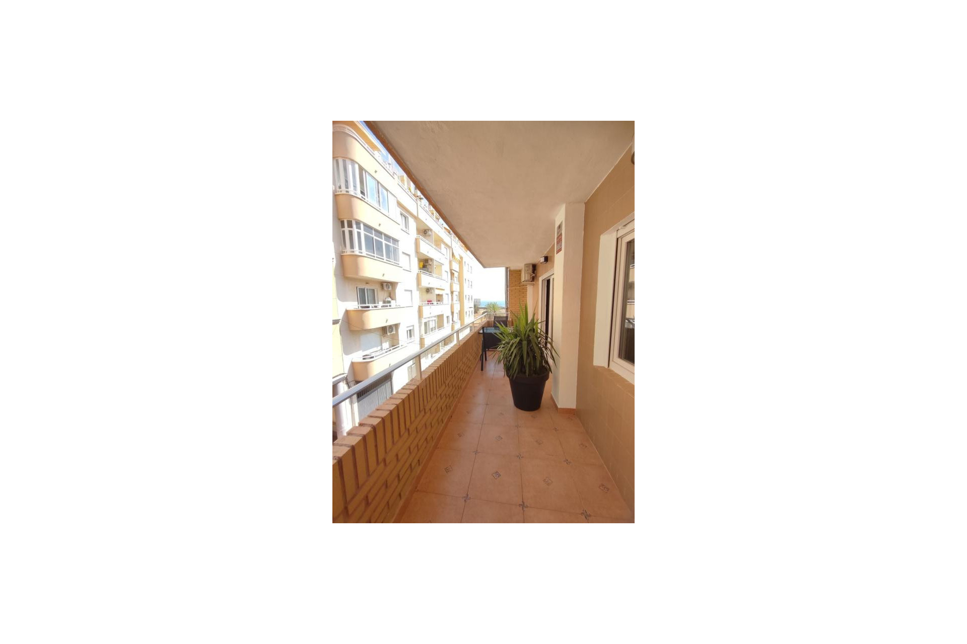 Revente - Appartement - Torrevieja - torrevieja