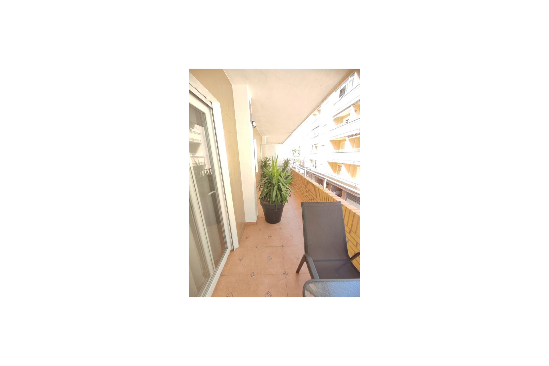 Revente - Appartement - Torrevieja - torrevieja