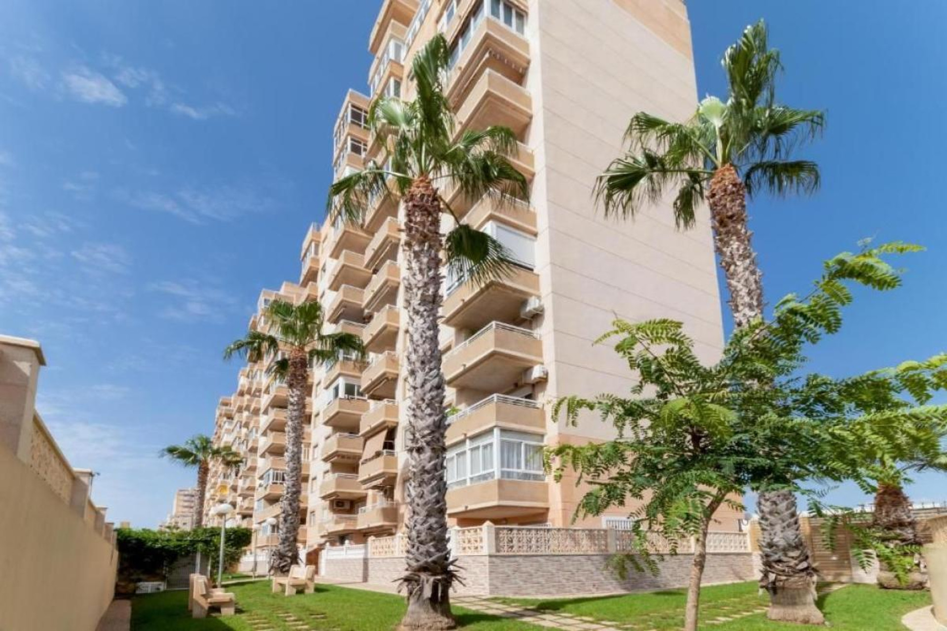 Revente - Appartement - Torrevieja - torrevieja