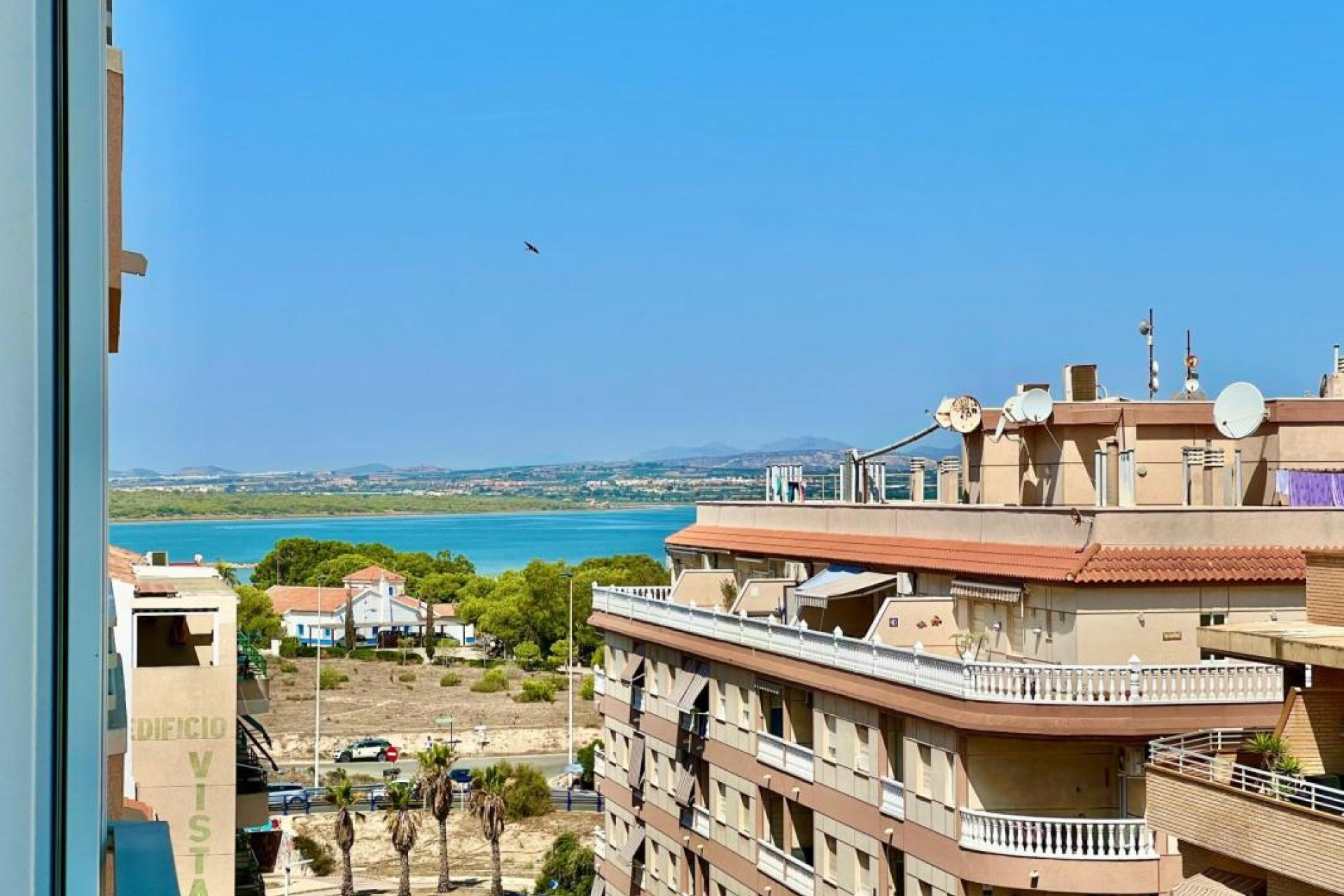 Revente - Appartement - Torrevieja - torrevieja