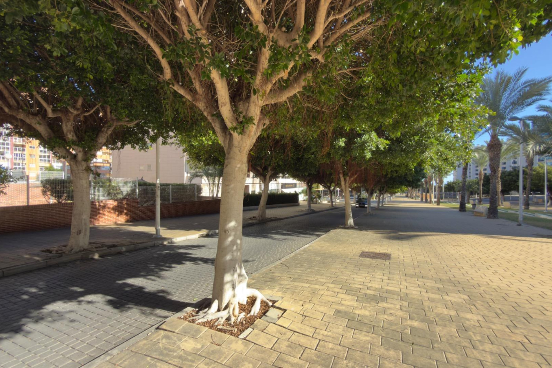 Revente - Appartement - Villajoyosa - Cala Villajoyosa