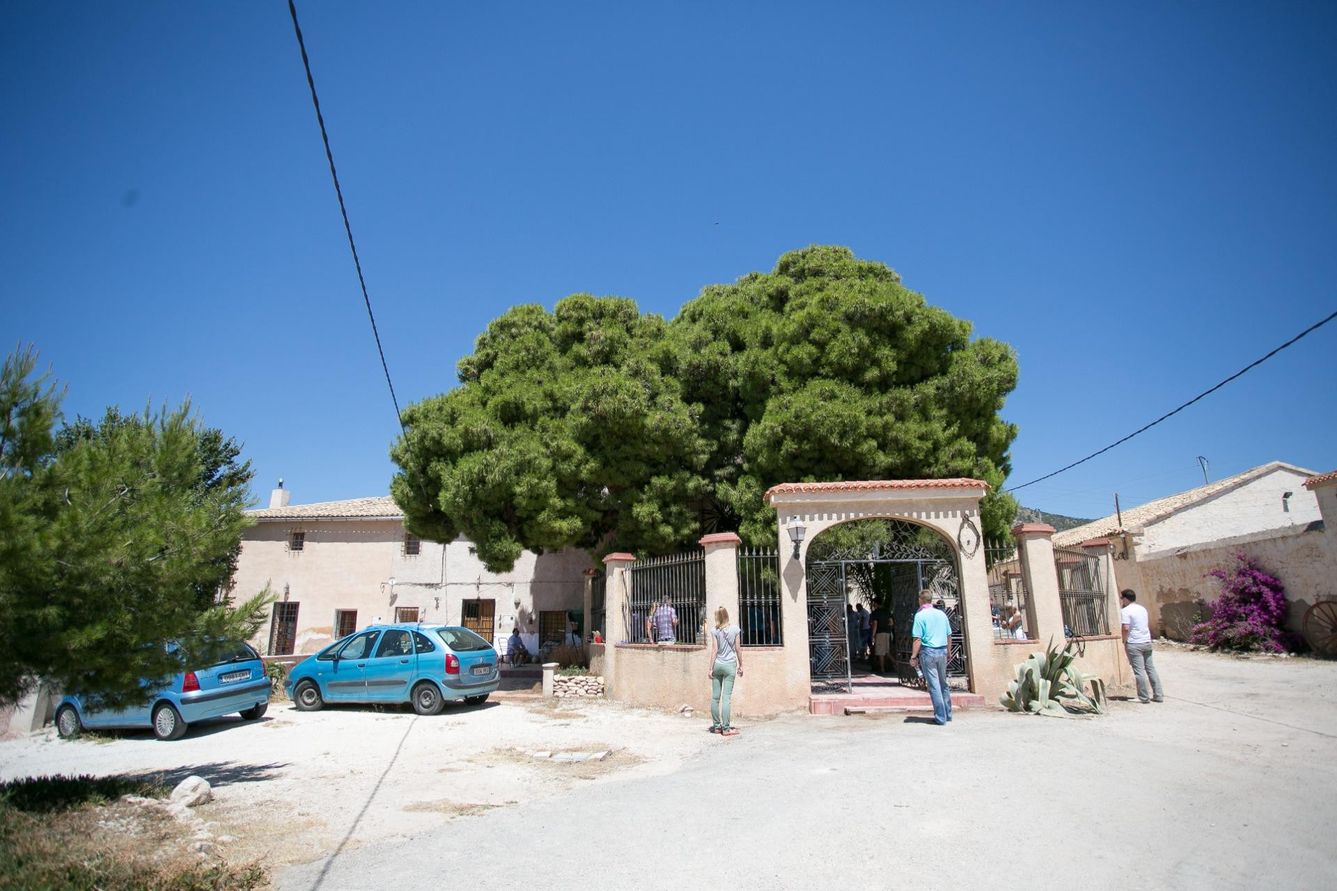 Revente - Bodega - PINOSO - CENTRO