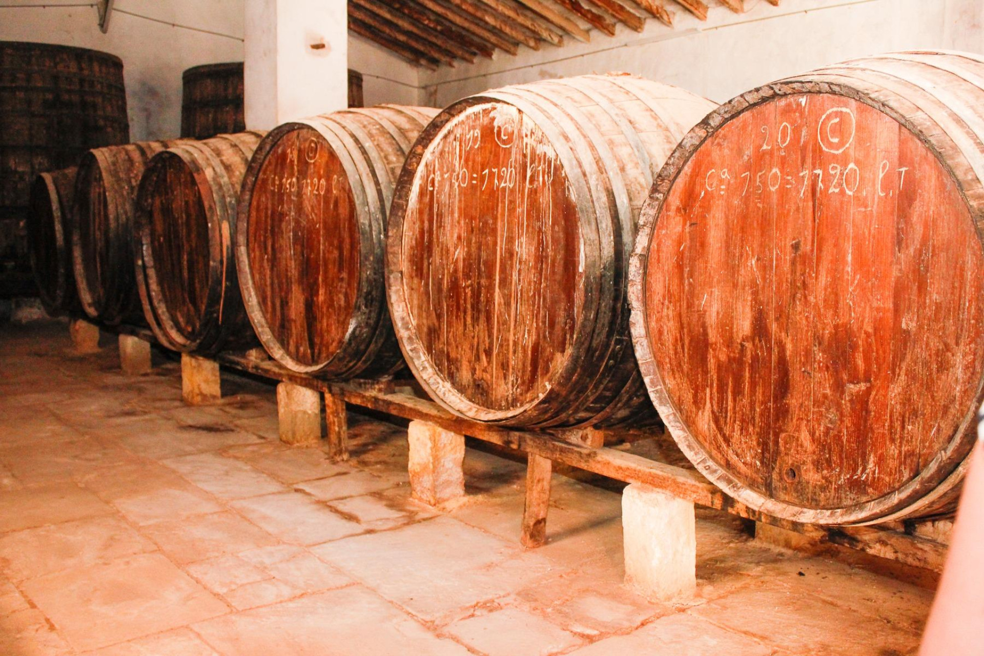 Revente - Bodega - PINOSO - CENTRO