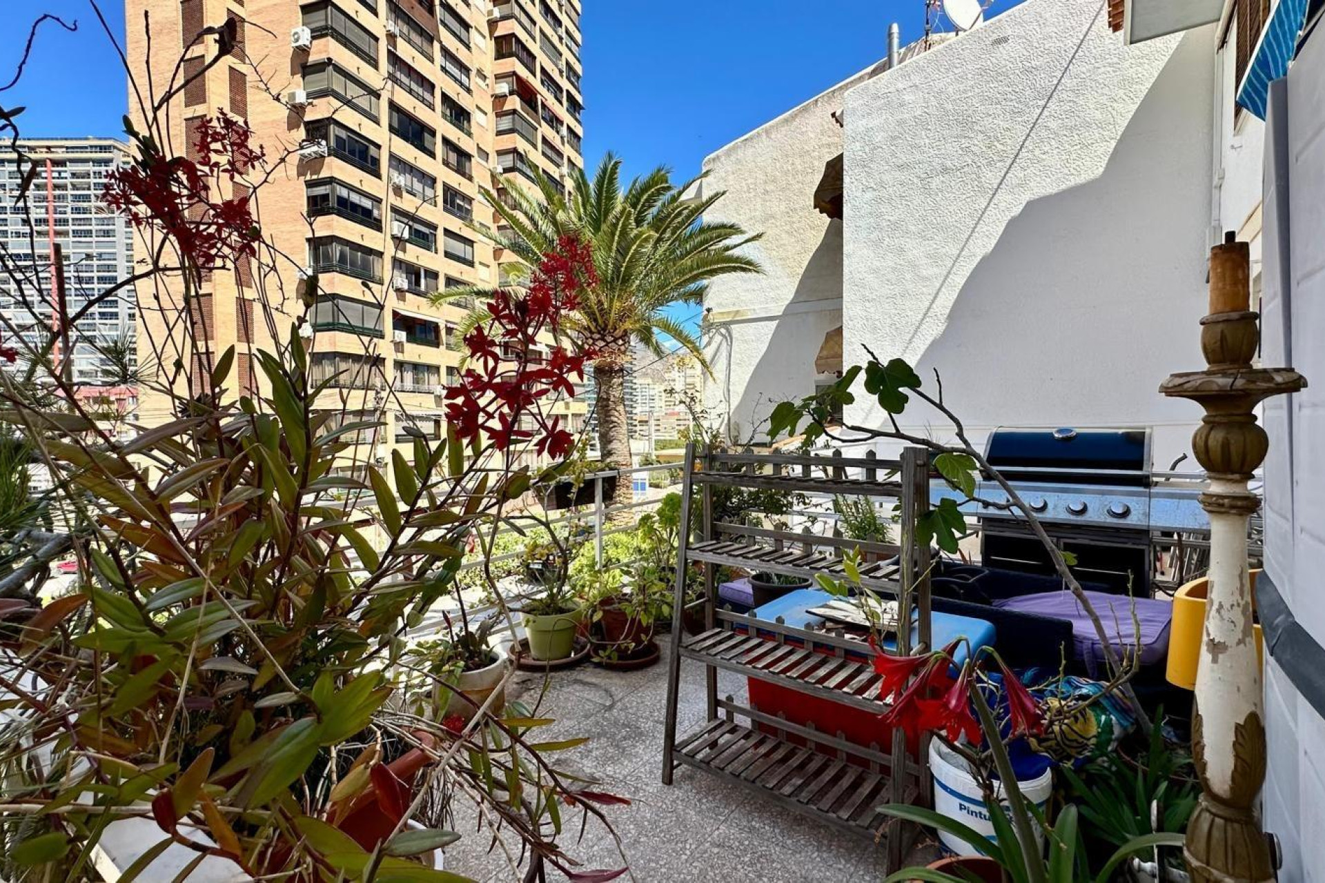 Revente - Bungalow - Benidorm - Poniente