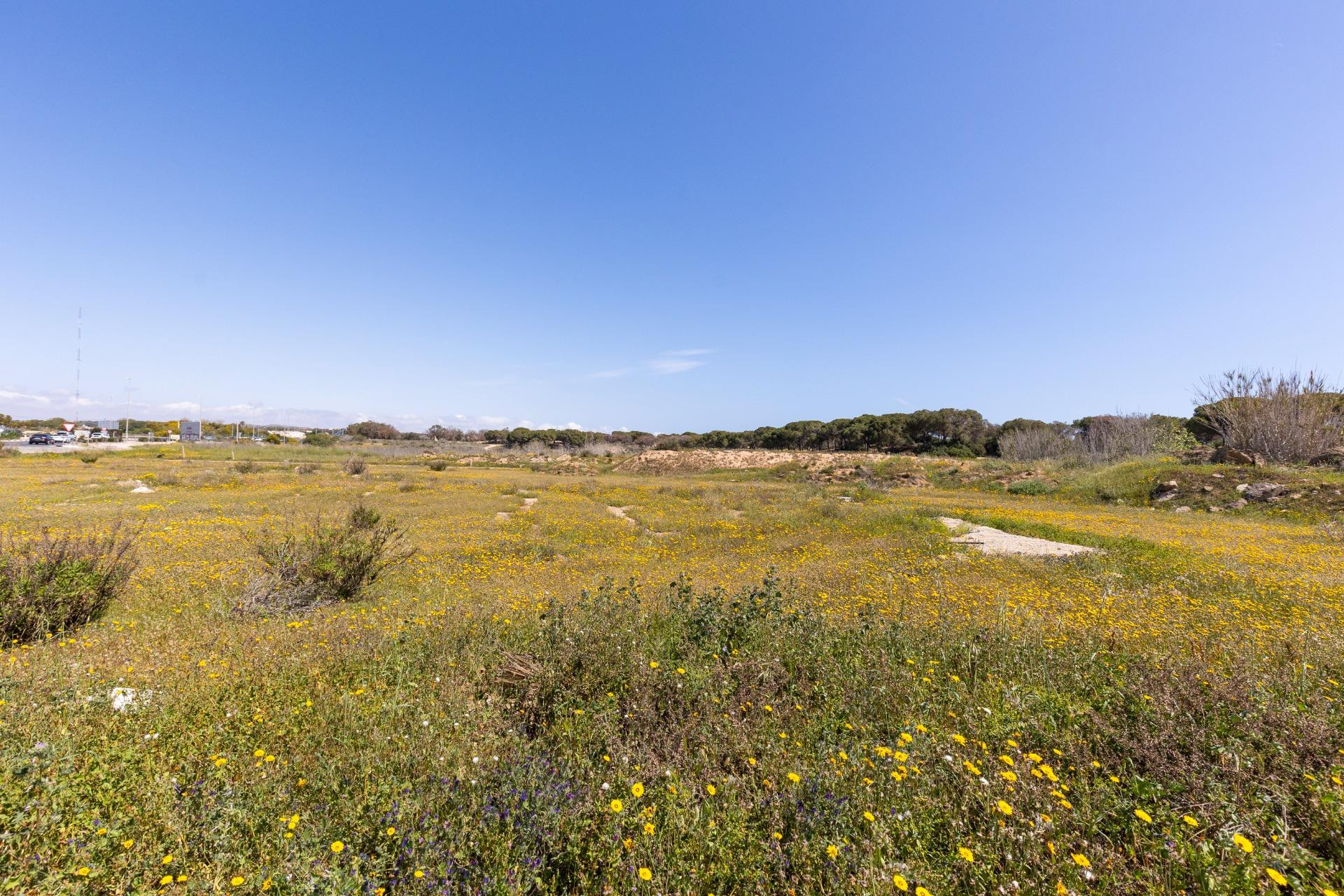 Revente - Bungalow - Guardamar del Segura - Urbanizaciones