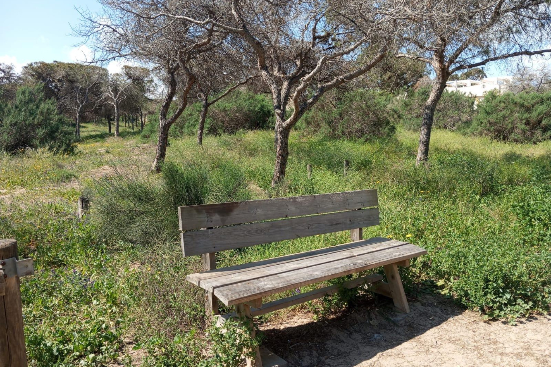 Revente - Bungalow - Guardamar del Segura - Urbanizaciones