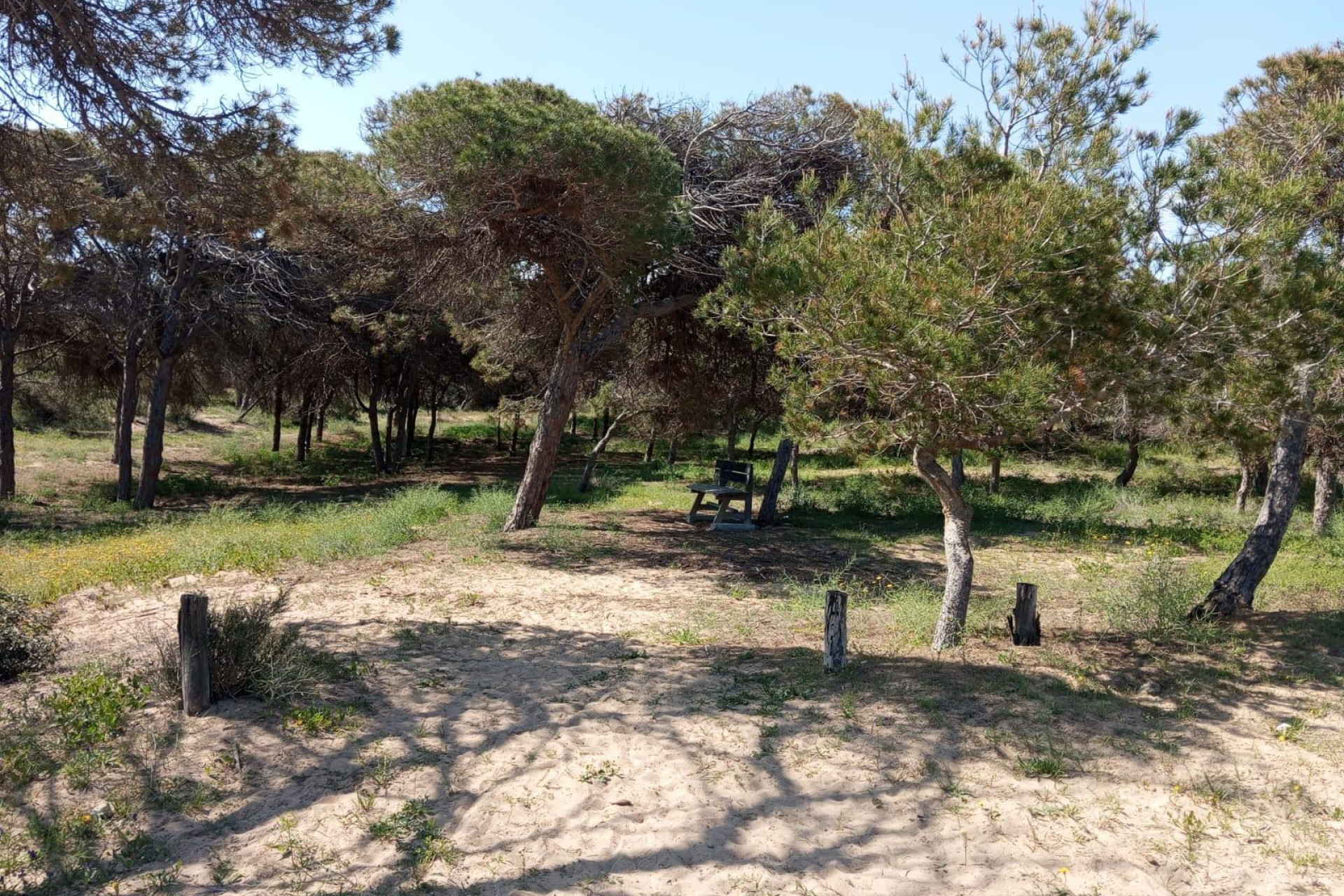 Revente - Bungalow - Guardamar del Segura - Urbanizaciones