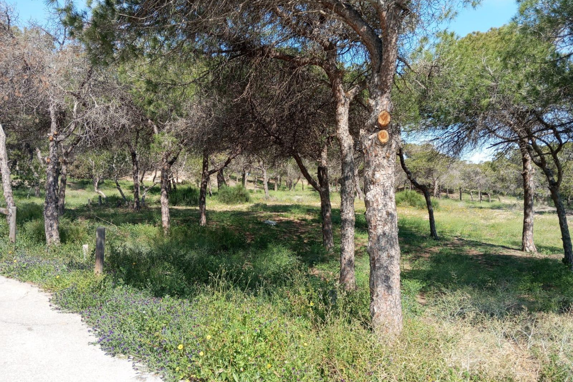 Revente - Bungalow - Guardamar del Segura - Urbanizaciones