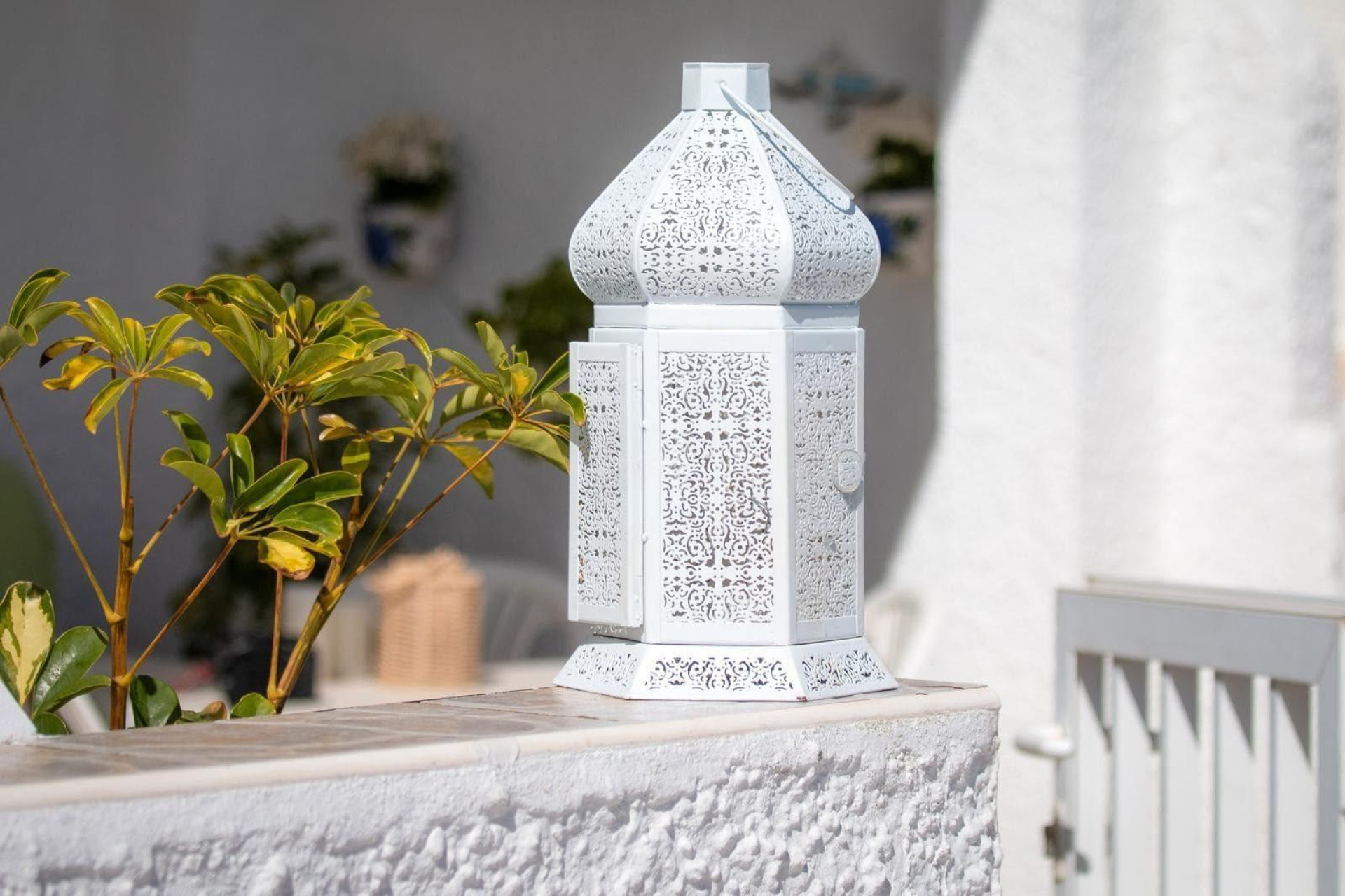 Revente - Bungalow - Torrevieja - Cabo cervera