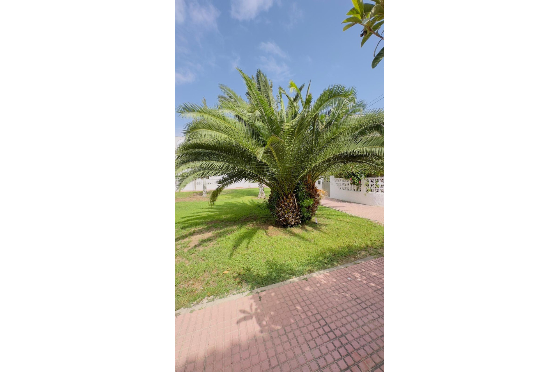 Revente - Bungalow - Torrevieja - Calas blanca