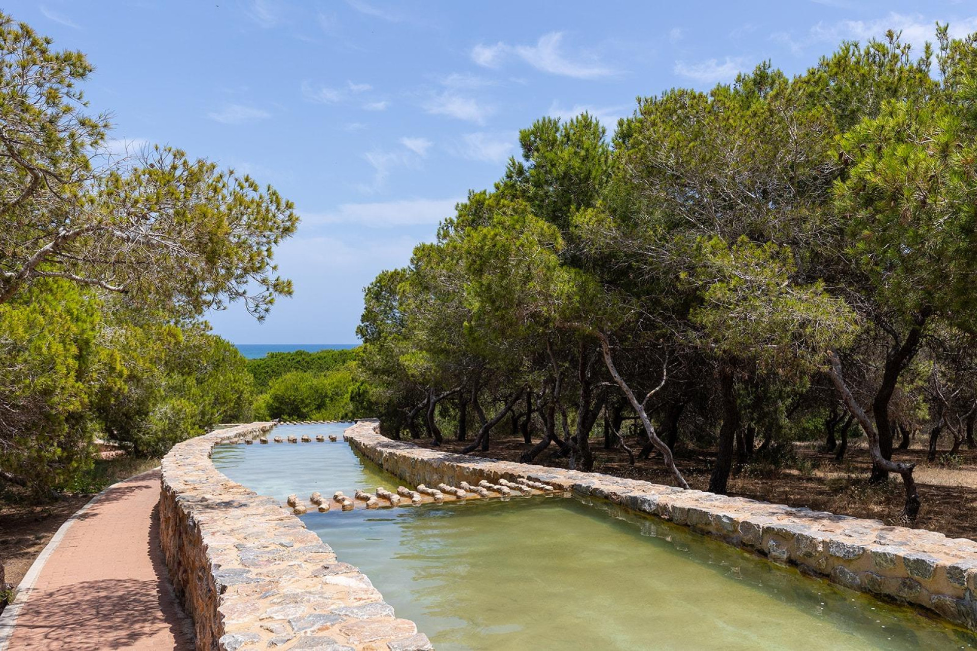 Revente - Bungalow - Torrevieja - La Mata