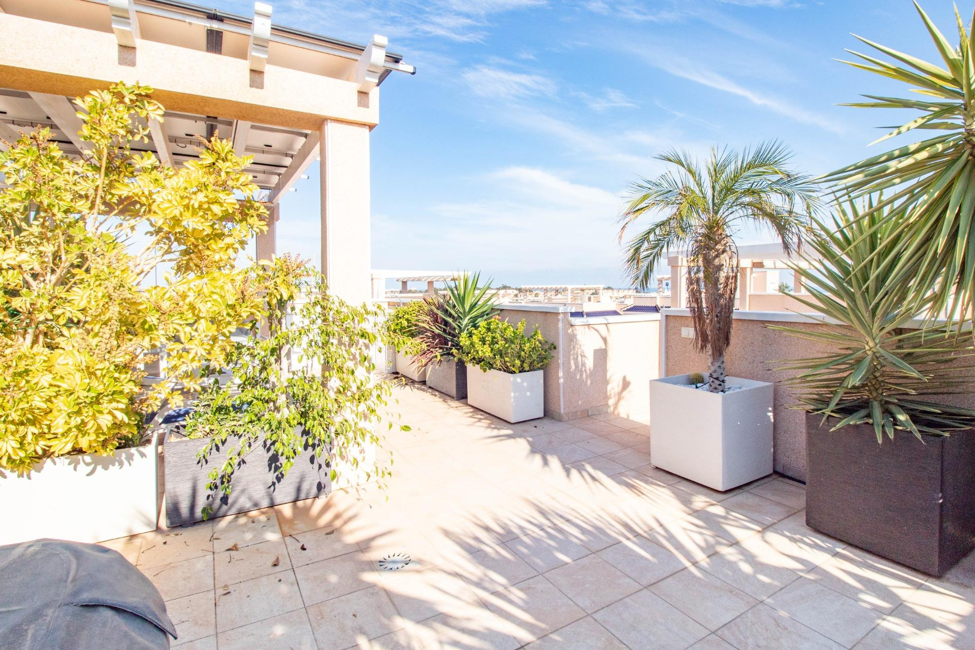 Revente - Bungalow - Torrevieja - Punta prima
