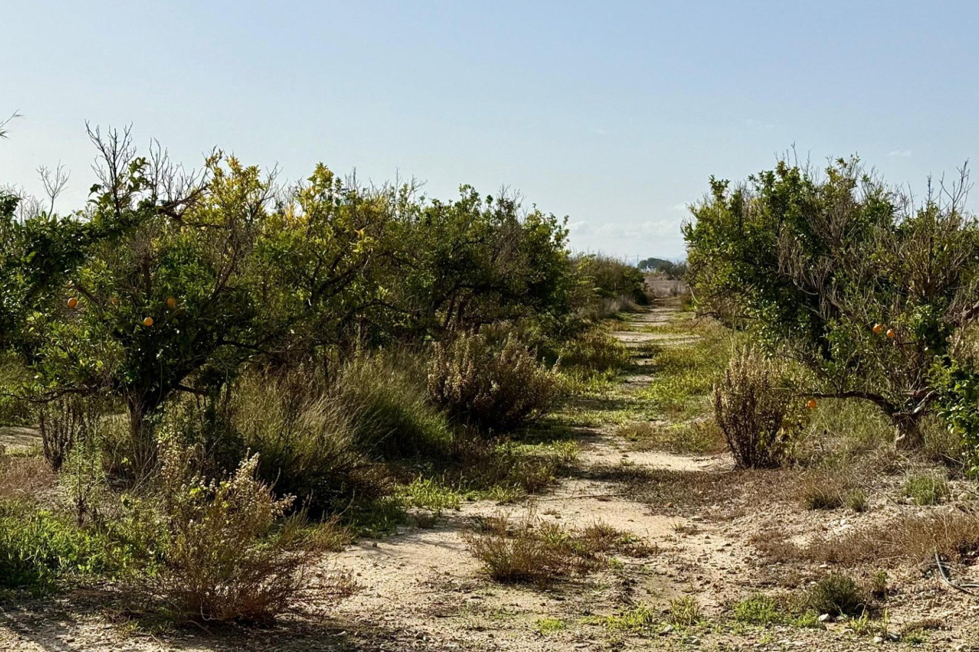 Revente - Casa con terreno - Agost - Partida Sol del Camp