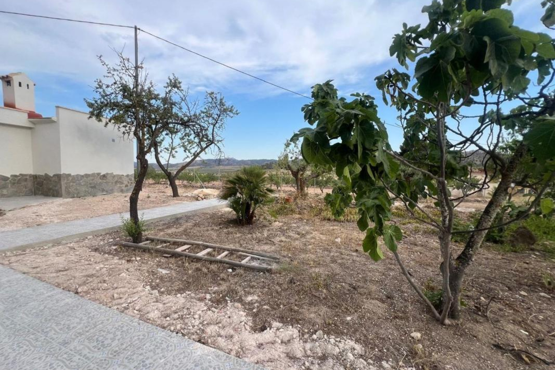 Revente - casas - Algueña