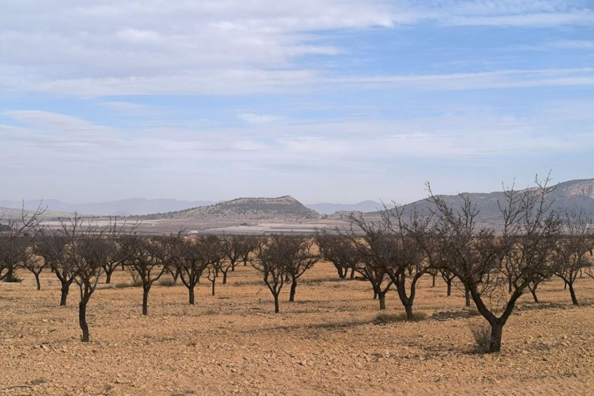 Revente - casas - Monovar