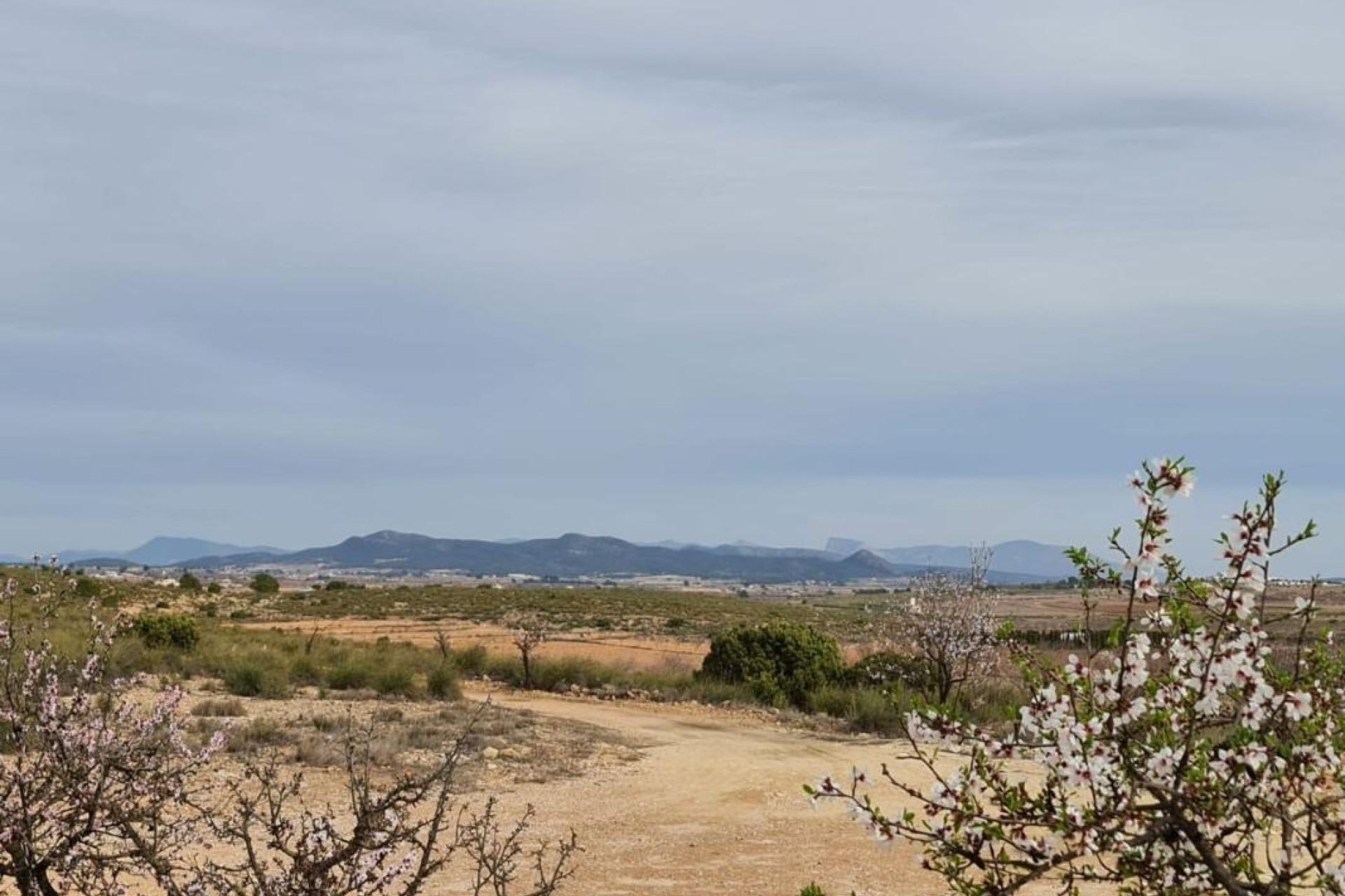 Revente - casas - Pinoso