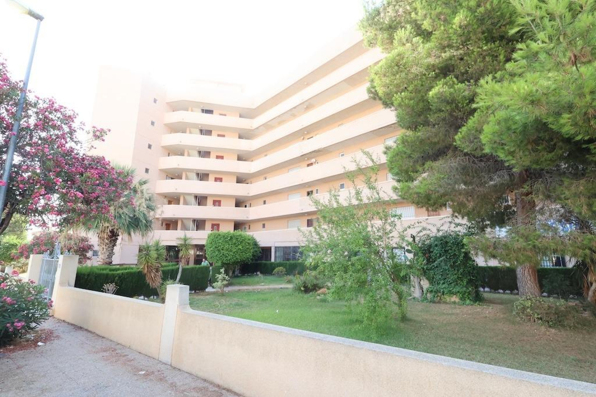 Revente - Commercial Unit - Orihuela Costa - La Zenia