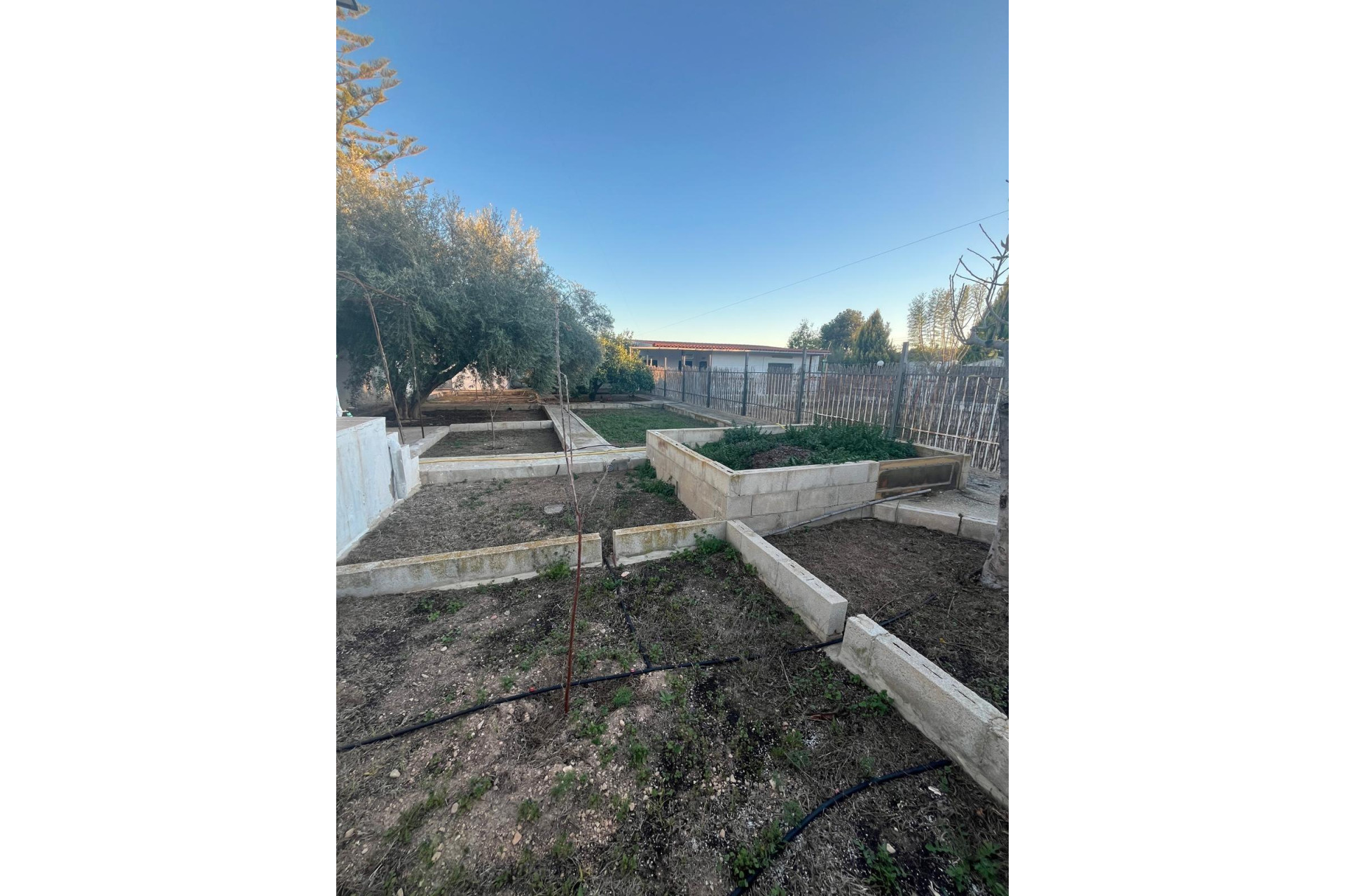 Revente - Country House - ALBATERA - Albatera