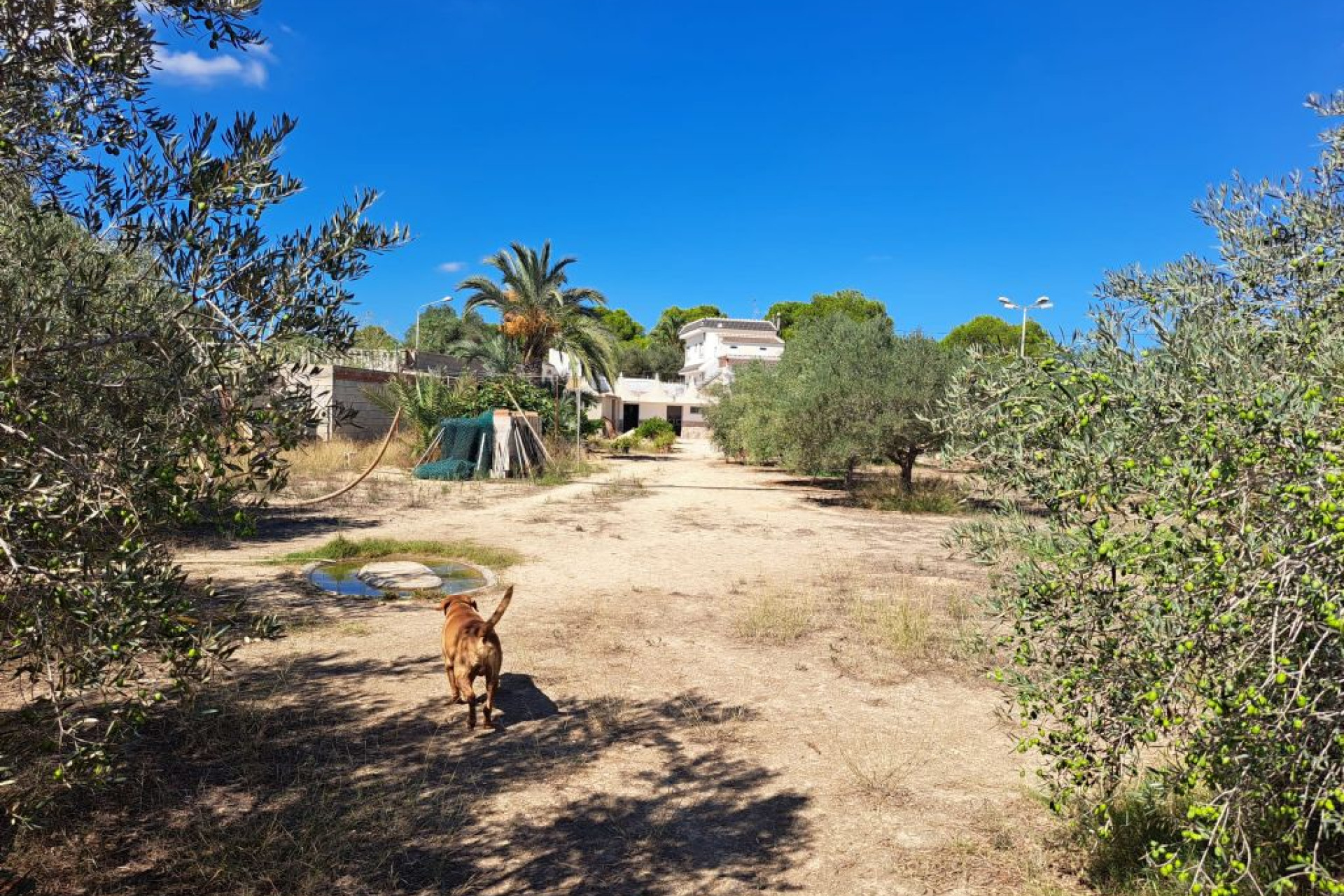 Revente - Country House - Almoradí