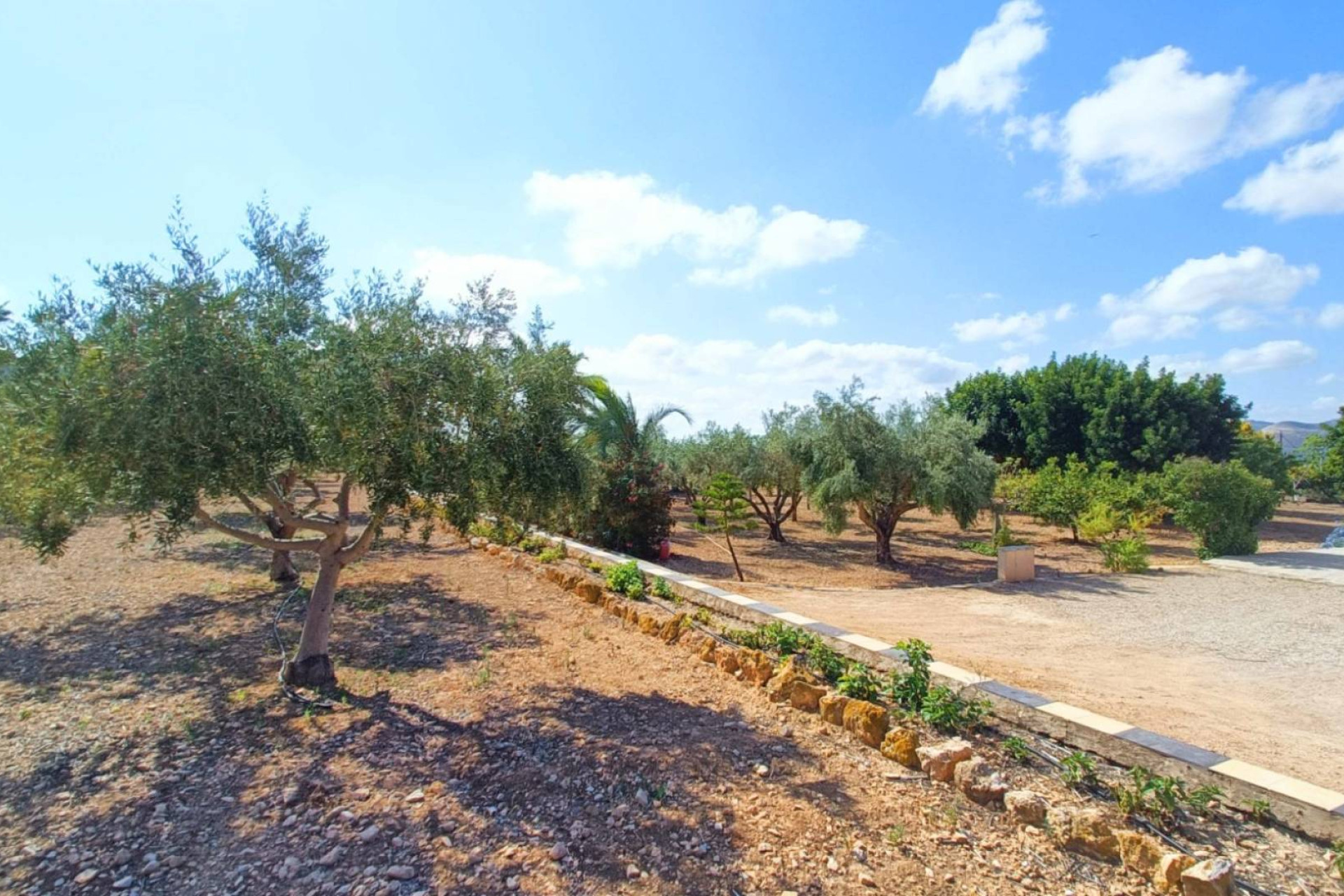 Revente - Country House - Aspe