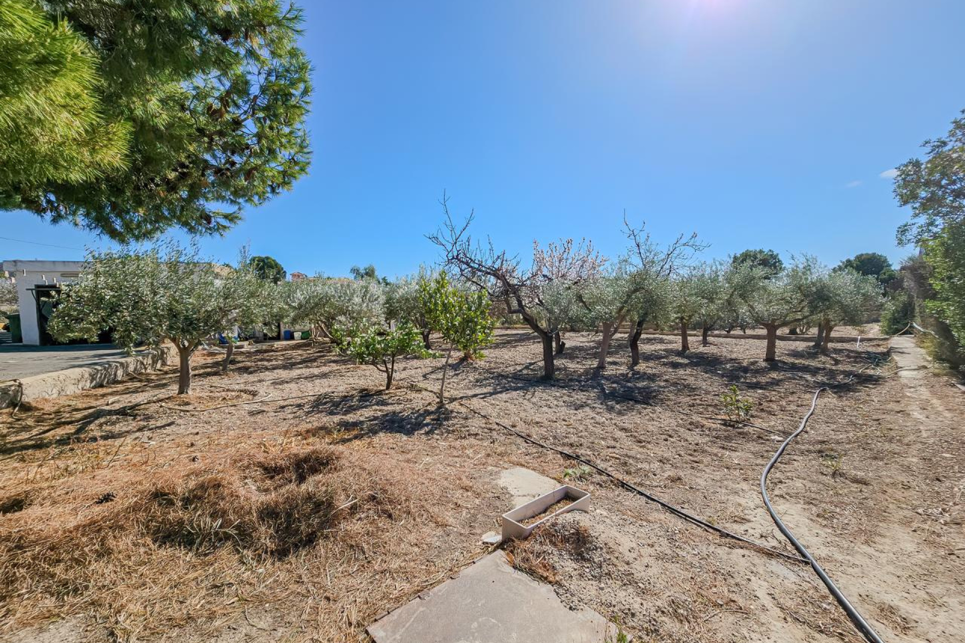 Revente - Country House - Busot - Urbanització Pla de la Lloma, 3, 03111